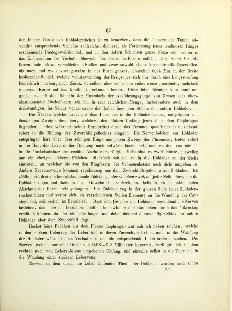 den feinem Ban dieses Hohladerstückes ist zu bemerken, dass die äussere der Tunica ad- ventitia entsprechende Schichte zahlreiche, dichtere, als Fortsetzung- jenes tendinösen Ringes erscheinende Bindegewebsbündel, und in den liefern Schichten ganze Netze sehr breiter in das Endocardium des Yorhofes übergehender elastischer Fasern enthält. Organische Muskel- fasern finde ich an verschiedenen Stellen und zwar sowohl als isolirte contractile Faserzellen, als auch und zwar vorzugsweise in der Form ganzer, bisweilen 0,14 Mm. in der Breite besitzender Bündel, welche vor Anwendung der Essigsäure sich nur durch eine Längsstreifung bemerklich machen, nach Zusatz derselben aber zahlreiche reihenweise geordnete, mehrfach gebogene Kerne auf das Deutlichste erkennen lassen. Diese bündelförmige Anordnung or- ganischer, mit den Bündeln der Muscularis der Ausführungsgänge von Drüsen sehr über- einstimmender Muskelfasern sah ich in sehr reichlicher Menge, insbesondere auch in dem dickwandigen, im Sulcus venae cavae der Leber liegenden Stücke der untern Ilohlader. Die Nerven welche direct aus dem Phrenicus in die Ilohlader treten, entspringen aus demjenigen Zweige desselben, welcher, den hintern Umfang jenes über dem Diaphragma liegenden Theiles während seines Durchtrittes durch das Foramen quadrilaterum umziehend, sofort in die Bildung des Zwerchfellgeflechtes eingeht. Die Nervenfädchen zur Hohlader entspringen hart über dem sehnigen Ringe aus jenem Zweige des Phrenicus, treten sofort in die Haut der Cava in der Richtung nach aufwärts hinziehend, und wurden von mir bis in die Muskelsubstanz des rechten Yorhofes verfolgt. Meist sind es zwrei feinste, bisweilen nur ein einziges dickeres Fädchen. Mehrfach sah ich es in die Ilohlader an der Stelle eintreten, an welcher sie von den Ringfasern der Selmensubstanz noch dicht umgeben ist. Andere Nervenzweige kommen regelmässig aus dem Zwerchfellsgeflechte zur Hohlader. Ich zählte meist drei von hier abstammende Fädchen, unter welchen zwei, auf jeder Seite eines, um die Hohlader zogen und theils in ihrem Gewebe sich verbreiteten, theils in den sie umkleidenden Abschnitt des Herzbeutels gelangten. Ein Fädchen zog in der ganzen Höhe jenes Hohlader- stückes hinan und verlor sich, an verschiedenen Stellen Elemente an die Wandung der Cava abgebend, schliesslich im Herzfleisch. Dass dem Gewebe der Hohlader eigenthümliche Nerven bestehen, das habe ich besonders deutlich beim Jlunde und Kaninchen durch das Mikroskop ermitteln können, da hier ein sehr langes und dabei äusserst dünnwandiges Stück der untern Hohlader über dem Zwerchfell liegt. Höchst feine Fädchen aus dem Plexus diaphragmaticus sah ich neben solchen, welche in den serösen Ueberzug der Leber und in deren Parenchym treten, auch in die Wandung der Hohlader während ihres Verlaufes durch die entsprechende Leberfurche hinziehen. Die Nerven welche nur eine Dicke von 0,08—0,2 Millimeter besassen, verfolgte ich in dem rechten noch von Lebersubstanz umgebenen Umfang, und einzelne selbst in die Tiefe bis in die Wandung einer stärkern Lebervene. Nerven zu dem durch die Leber laufenden Theile der Hohlader wurden auch schon 9 *