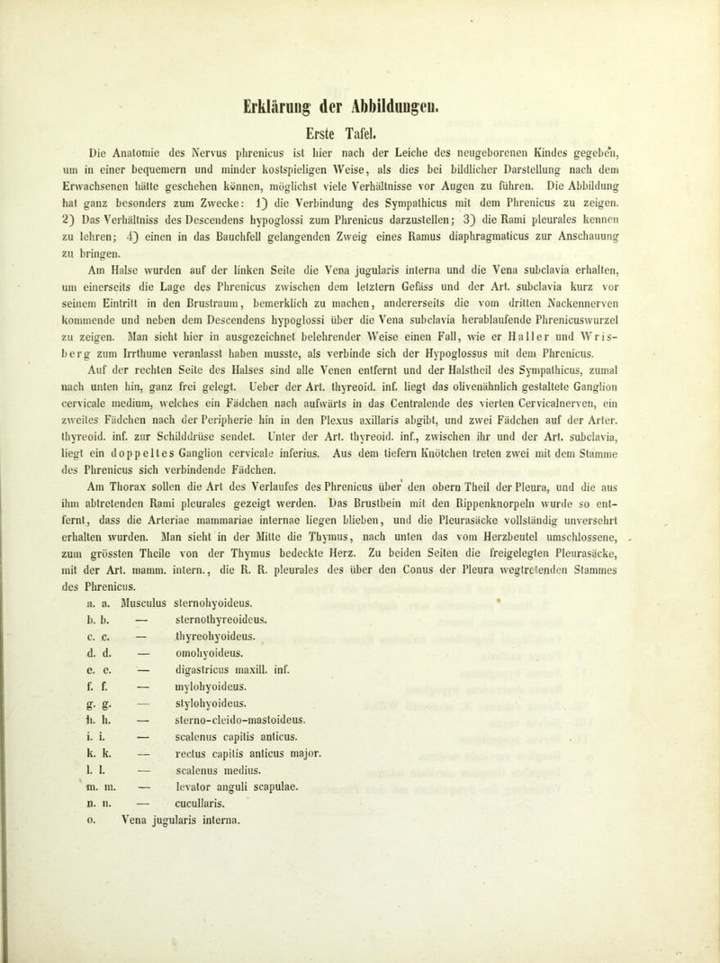 Erklärung der Abbildungen. Erste Tafel. Die Anatomie des Nervus phrenicus ist hier nach der Leiche des neugeborenen Kindes gegeben, um in einer bequemem und minder kostspieligen Weise, als dies bei bildlicher Darstellung nach dem Erwachsenen hätte geschehen können, möglichst viele Verhältnisse vor Augen zu führen. Die Abbildung hat ganz besonders zum Zwecke: 1) die Verbindung des Sympathicus mit dem Phrenicus zu zeigen. 2) Das Verhältnis des Descendens hypoglossi zum Phrenicus darzustellen; 3) die Rami pleurales kennen zu lehren; 4) einen in das Bauchfell gelangenden Zweig eines Ramus diaphragmaticus zur Anschauung zu bringen. Am Halse wurden auf der linken Seite die Vena jugularis interna und die Vena subclavia erhalten, um einerseits die Lage des Phrenicus zwischen dem letztem Gefäss und der Art. subclavia kurz vor seinem Eintritt in den Brustraum, bemerklich zu machen, andererseits die vom dritten Nackennerven kommende und neben dem Descendens hypoglossi über die Vena subclavia herablaufende Phrenicuswurzel zu zeigen. Man sieht hier in ausgezeichnet belehrender Weise einen Fall, wie er Haller und Wris- berg zum Irrthume veranlasst haben musste, als verbinde sich der Hypoglossus mit dem Phrenicus. Auf der rechten Seite des Halses sind alle Venen entfernt und der Halstheil des Sympathicus, zumal nach unten hin, ganz frei gelegt. Ueber der Art. thyreoid. inf. liegt das olivenähnlich gestaltete Ganglion cervicale medium, welches ein Fädchen nach aufwärts in das Centralende des vierten Cervicalnerven, ein zweites Fädchen nach der Peripherie hin in den Plexus axillaris abgibt, und zwei Fädchen auf der Arier, thyreoid. inf. zur Schilddrüse sendet. Unter der Art. thyreoid. inf., zwischen ihr und der Art. subclavia, liegt ein doppeltes Ganglion cervicale inferius. Aus dem tiefem Knötchen treten zwei mit dem Stamme des Phrenicus sich verbindende Fädchen. Am Thorax sollen die Art des Verlaufes des Phrenicus über den obern Theil der Pleura, und die aus ihm abtretenden Rami pleurales gezeigt werden. Das Brustbein mit den Rippenknorpeln wurde so ent- fernt, dass die Arteriae mammariae internae liegen blieben, und die Pleurasäcke vollständig unversehrt erhalten wurden. Man sieht in der Milte die Thymus, nach unten das vom Herzbeutel umschlossene, zum grössten Theile von der Thymus bedeckte Herz. Zu beiden Seiten die freigelegten Pleurasäcke, mit der Art. inamm. intern., die R. R. pleurales des über den Conus der Pleura wegtreienden Stammes des Phrenicus. a. a. Musculus sternohyoideus. b. b. — sternothyreoideus. c. c. — thyreohyoideus. d. d. — omohyoideus. e. e. — digastricus maxill. inf. f. f. g- g- h. h. i. i. k. k. l. 1. m. in. n. n. o. — mylohyoideus. — stylohyoideus. — sterno-cleido-mastoideus. — scalenus capitis anticus. — rectus capitis anticus major. — scalenus medius. — levator anguli scapulae. — cucullaris. Vena jugularis interna.