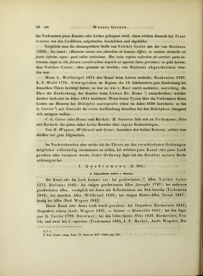 das Vorkommen jenes Kanales oder Loches geläugnet wird, einen solchen dennoch hei Ursus ornatus von den Cordilleren aufgefunden, beschrieben und abgebildet. Vergleicht man die obenangeführte Stelle von Volcher Coiter mit der von Riolanus (1626), die lautet; aHumerus simiae non admodum ab humano differt, in caudata dissimilis esl juxta inferius capul, quod cubito articulalur. Hac enim regione reßectitur ab exteriori parle in- Irorsum, alque in illa ßexura canaliculum acquirel ex opposilo lalere pervium.)); so geht hervor, dass Volcher Coiter, ohne genannt zu werden, von Riolanus ab geschrieben wor- den war. Wenn L. Wolfstrigel 1671 den'Kanal beim Löwen entdeckt, Daubenton 1767, K. F. Wollf 1770, Schwägrichen im Beginne des 19. Jahrhunderts jene Entdeckung bei demselben Thiere bestätigt haben; so war es, wie v. Baer zuerst nachwies, unrichtig, die Ehre der Entdeckung des Kanales beim Löwen Ev. Home ’) zuzuschreiben, welcher darüber doch erst im Jahre 1814 berichtete. Wenn ferner Tyson über das Vorkommen dieses Loches am Humerus bei Didelphis marsupialis schon im Jahre 1698 berichtete; so hat G. Cuvier mit Unrecht die erste Auffindung desselben bei den Didelphen [Sarygues) sich aneignen wollen. C. G. Carus citirt Home und Meckel; H. Slannius hält sich an Tiedemann, Otto und Barkow. Sie geben daher keine Berichte über eigene Beobachtungen. Von R. Wagner, Wilbrand und Grant, besonders den beiden Ersteren, erfährt man darüber nur ganz Allgemeines. Im Nachstehenden aber suchte ich die Thiere aus den verschiedenen Ordnungen möglichst vollständig zusarammen zu stellen, hei welchen jener Kanal oder jenes Loch gesehen oder vermisst wurde. Jeder Ordnung fügte ich das Resultat meiner Beob- achtungen bei. I. Quadrumana (2. Ord.). t. Eigentliche Affen — Siiuiae. Der Kanal oder das Loch kommt vor: bei geschwänzten (?) Affen (Volcher Coiter 1573, Riolanus 1626); bei einigen geschwänzten Affen (Josephi 1787); bei mehreren geschwänzten Affen, vorzüglich bei denen mit Rollschwänzen aus Süd-Amerika (Tiedemann 1818); bei manchen Affen (Willbrand 1838); bei einigen Kletter-Affen (Grant 1841); häufig bei Affen (Rud. Wagner 1843). Dieser Kanal oder dieses Loch wurde gesehen: bei Chrysolhrix [Burme'ister 1841), Chrysolhrix sciurea (Andr. Wagner 1837, — Saimiri — Blainville 1841); bei den Sapa- jous (G. Cuvier 1799, Duvernoy); bei den Cebns-Species (Otto 1839, Burmeister, Vro- lik) und zwar bei C. capucinus (Tiedemann 1805, J. F. Meckel, Andr. Wagner, Du- 1) i. c. 2) Lee. d’anat. comp. Tom. IV. Paris an XIV (1803) pag. 251.