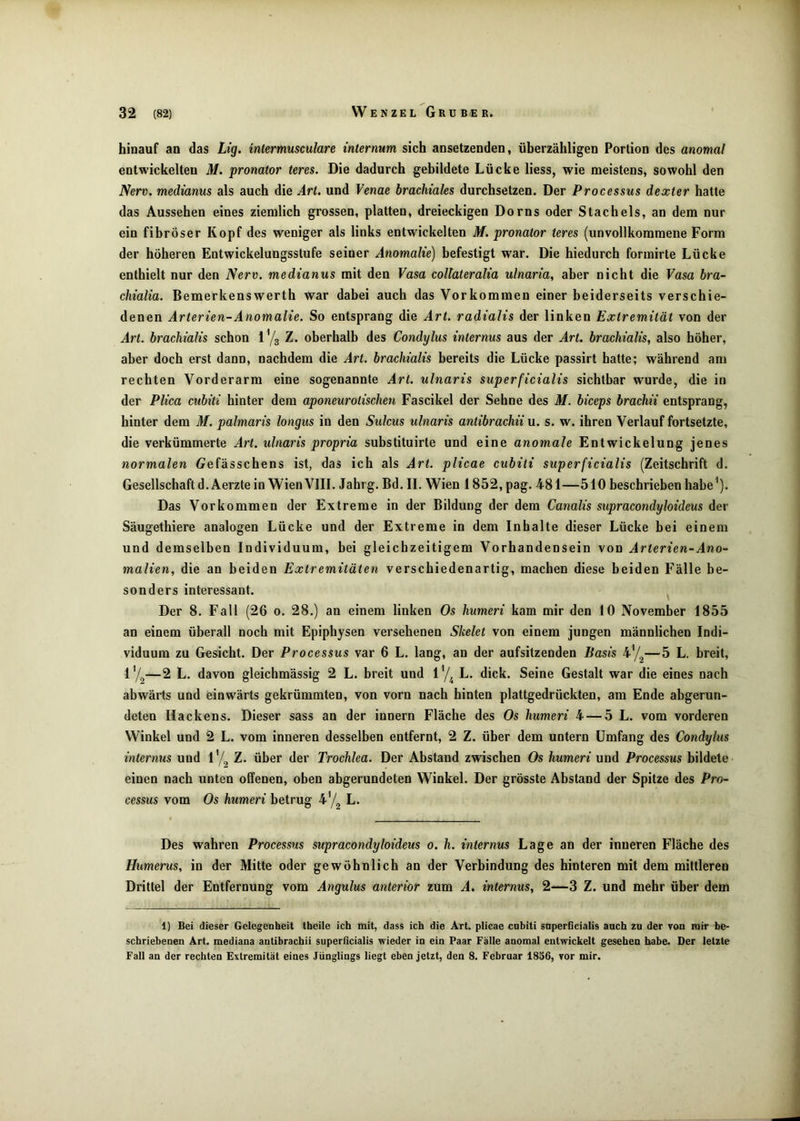 hinauf an das Lig. mtermusculare internum sich ansetzenden, überzähligen Portion des anomal entwickelten M. pronator teres. Die dadurch gebildete Lücke Hess, wie meistens, sowohl den Nerv, medianus als auch die Art. und Venae brachiales durchsetzen. Der Processus dexter hatte das Aussehen eines ziemlich grossen, platten, dreieckigen Doms oder Stachels, an dem nur ein fibröser Kopf des weniger als links entwickelten M. pronator teres (unvollkommene Form der höheren Entwickelungsstufe seiner Anomalie) befestigt war. Die hiedurch formirte Lücke enthielt nur den Nerv, medianus mit den Vasa collateralia ulnaria, aber nicht die Vasa bra- chialia. Bemerkenswerth war dabei auch das Vorkommen einer beiderseits verschie- denen Arterien-Anomalie. So entsprang die Art. radialis der linken Extremität von der Art. brachialis schon Z. oberhalb des Condylus internus aus der Art. brachialis, also höher, aber doch erst dann, nachdem die Art. brachialis bereits die Lücke passirt hatte; während am rechten Vorderarm eine sogenannte Art. ulnaris superficialis sichtbar wurde, die in der Plica cubiti hinter dem aponeurotischen Fascikel der Sehne des M. biceps brachii entsprang, hinter dem M. palmaris longus in den Sulcus ulnaris antibrachii u. s. w. ihren Verlauf fortsetzte, die verkümmerte Art. ulnaris propria substituirte und eine anomale Entwickelung jenes normalen Gefässchens ist, das ich als Art. plicae cubiti superficialis (Zeitschrift d. Gesellschaft d.Aerzte in Wien VIII. Jahrg, Bd. II. Wien 1852, pag. 481—510 beschrieben habe^). Das Vorkommen der Extreme in der Bildung der dem Canalis supracondyloideus der Säugethiere analogen Lücke und der Extreme in dem Inhalte dieser Lücke bei einem und demselben Individuum, bei gleichzeitigem Vorhandensein von Arterien-Ano- malien, die an beiden Extremitäten verschiedenartig, machen diese beiden Fälle be- sonders interessant. Der 8. Fall (26 o. 28.) an einem linken Os humeri kam mir den 10 November 1855 an einem überall noch mit Epiphysen versehenen Skelet von einem jungen männlichen Indi- viduum zu Gesicht. Der Processus var 6 L. lang, an der aufsitzenden Basis —5 L. breit, l’/g—2 L. davon gleichmässig 2 L. breit und l'/^ L. dick. Seine Gestalt war die eines nach abwärts und einwärts gekrümmten, von vorn nach hinten plattgedrückten, am Ende abgerun- deten Hackens. Dieser sass an der innern Fläche des Os humeri 4 — 5 L. vom vorderen Winkel und 2 L. vom inneren desselben entfernt, 2 Z. über dem untern Umfang des Condylus internus und Z. über der Trochlea. Der Abstand zwischen Os humeri und Processus bildete einen nach unten offenen, oben abgerundeten Winkel. Der grösste Abstand der Spitze des Pro- cessus vom Os humeri betrug 47^ L. Des wahren Process^xs supracondyloideus o. h. internus Lage an der inneren Fläche des Humerus, in der Mitte oder gewöhnlich an der Verbindung des hinteren mit dem mittleren Drittel der Entfernung vom Angulus anterior zum A. internus, 2—3 Z. und mehr über dem 1) Bei dieser Gelegenheit theile ich mit, dass ich die Art plicae cnbiti saperGcialis auch zu der von mir be- schriebenen Art. mediana antibrachii superflcialis wieder in ein Paar Fälle anomal entwickelt gesehen habe. Der letzte Fall an der rechten Extremität eines Jünglings liegt eben jetzt, den 8. Februar 1856, ror mir.
