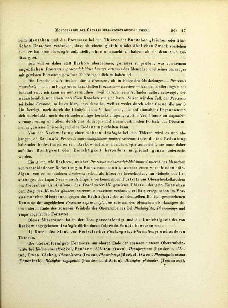 beim Menschen und die Fortsätze bei den Thieren ihr Entstehen gleichen oder ähn- lichen Ursachen verdanken, dass sie einem gleichen oder ähnlichen Zweck vorstehen d. i. er hat eine Analogie aufgestellt, ohne untersucht zu haben, ob sie denn auch zu- lässig sei. Ich will es daher statt Barkow übernehmen, genauer zu prüfen, was von seinem angeblichen Processus supracondyloideus himeri externus des Menschen und seiner Analogie mit gewissen Fortsätzen gewisser Thiere eigentlich zu halten sei. Die Ursache des Auftretens dieses Processus, ob in Folge des Muskelzuges—Processus mnscularis— oder in Folge eines krankhaften Prozesses — Exostose— kann mir allerdings nicht bekannt sein, ich kann sie nur vermuthen, weil darüber sein Aufönder seihst schweigt, der wahrscheinlich nur einen macerirten Knochen vor sich hatte. Setzen wir den Fall, der Processus sei keine Exostose, so ist es klar, dass derselbe, weil er weder durch seine Grösse, die nur 3 Lin. beträgt, noch durch die Häufigkeit des Vorkommens, die auf einmaliges Dagewesensein sich beschränkt, noch durch anderweitige berücksichtigungswerthe Verhältnisse zu imponiren vermag, einzig und allein durch eine Analogie mit einem bestimmten Fortsatz des Oberarm- beines gewisser Thiere irgend eine Bedeutung erhalten kann. Von der Nachweisung einer wahren Analogie bei den Thieren wird es nun ab- hängen, ob Barkow’s Processus supracondyloideus linmeri externus irgend eine Bedeutung habe oder bedeutungslos sei. Barkow hat aber eine Analogie aufgestellt, sie muss daher auf ihre Richtigkeit oder Unrichtigkeit besonders möglichst genau untersucht werden. Ein Autor, wie Barkow, welcher Processus supracondyloidei humeri interni des Menschen von verschiedener Bedeutung in Eins zusammen wirft, welcher einen verschieden stän- digen, von einem anderen Anatomen schon als Exostose bezeichneten, im Gebiete des Ur- sprunges des Caput breve musculi bicipitis vorkommenden Fortsatz am Oberschenkelknochen des IMenschen als Analogon des Trochanter HL gewisser Thiere, der sein Entstehen dem Zug des Musculus glutaeus externus, s. maximus verdankt, erklärt; erregt schon im Vor- aus manches Misstrauen gegen die Richtigkeit der auf demselben Blatt ausgesprochenen Deutung des angeblichen Processus supracondyloideus externus des Menschen als Analogon des um unteren Ende des äusseren Winkels des Oberarmbeines bei Phalangista, Phascolomys und Talpa ahgehenden Fortsatzes. Dieses Misstrauen ist in der That gerechtfertigt und die Unrichtigkeit der von Barkow angegebenen Analogie dürfte durch folgende Punkte bewiesen sein: 1) Durch den Stand der Fortsätze bei Phalangista, Phascolomys und anderen Thieren. Die hackenförmigen Fortsätze am oberen Ende der äusseren unteren Oberarmbein- leiste bei Halmaturus (Meckel, Pander u. d’Alton, Owen), Hypsiprymnus (Pander u. d’Al- ton, Owen, Giebel), Phascolarctos (Owen), Phascolomys (Meckel, Owen), Phalangista ursina (Temminck), Didelphis cayopollin (Pander u. d’Alton), Didelphis philander (Temminck), 7