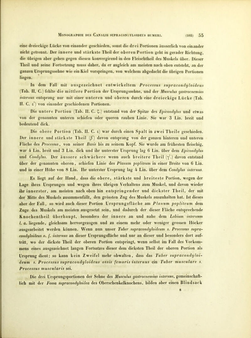 eine dreieckige Lücke von einander geschieden, sonst die drei Portionen äusserlich von einander nicht getrennt. Der innere und stärkste Theil der oberen Portion geht in gerader Richtung, die übrigen aber gehen gegen diesen konvergirend in den Fleischtheil des Muskels über. Dieser Theil und seine Fortsetzung muss daher, da er zugleich am meisten nach oben entsteht, an der ganzen ürsprungssehne wie ein Kiel vorspringen, von welchem abgedacht die übrigen Portionen liegen. In dem Fall mit ausgezeichnet entwickeltem Processus supracondyloideus {Tab. II, C.) fehlte die mittlere Portion der Ürsprungssehne, und der Mnsculus gastrocnemius internus entsprang nur mit einer unteren und oberen durch eine dreieckige Lücke (Tab. II. C. s’) von einander geschiedenen Portionen. Die untere Portion (Tab. II. C. ^.) entstand von der Spitze des Epicondyhis und etwas von der genannten unteren schiefen oder queren rauhen Linie. Sie war 3 Lin. breit und bedeutend dick. Die oh ere Portion (Tab. II. C. s) war durch einen Spalt in zwei Theile geschieden. Der innere und stärkste Theil (ß ) davon entsprang von der ganzen hinteren und unteren Fläche des Processus, von seiner Basis bis zu seinem Kopf. Sie wurde am frühesten fleischig, war 4 Lin. breit und 3 Lin. dick und ihr unterster Ursprung lag 6 Lin. über dem Epicondyhis und Condylus. Der äussere schwächere wenn auch breitere Theil (y .) davon entstand über der genannten oberen , schiefen Linie des Planum popliteum in einer Breite von 6 Lin. und in einer Höhe von 8 Lin. Ihr unterster Ursprung lag 4 Lin. über dem Condylus internus. Es liegt auf der Hand, dass die obere, stärkste und breiteste Portion, wegen der Lage ihres Ursprunges und wegen ihres übrigen Verhaltens zum Muskel, und davon wieder ihr innerster, am meisten nach oben hin entspringender und dickster Theil, der mit der Mitte des Muskels zusammenfällt, den grössten Zug des Muskels auszuhalten hat. Ist dieses aber der Fall, so wird auch dieser Portion Ursprungsfläche am Planum popliteum dem Zuge des Muskels am meisten ausgesetzt sein, und dadurch der dieser Fläche entsprechende Knochentheil überhaupt, besonders der innere an und nahe dem Labium intermm l. a. liegende, gleichsam hervorgezogen und zu einem mehr oder weniger grossen Höcker ausgearbeitet werden können. Wenn nun unser Tuber supracondyloideum s. Processus supra- condyloideus 0. f. internus an dieser Ursprungsfläche und nnr an dieser und besonders dort auf- tritt, wo der dickste Theil der oberen Portion entspringt, wenn selbst im Fall des Vorkom- mens eines ausgezeichnet langen Fortsatzes dieser dem dicksten Theil der oberen Portion als Ursprung dient; so kann kein Zweifel mehr obwalten, dass das Tuber supracondyloi- deum s. Processus supracondyloideus ossis femoris internus ein Tuber musculare s. Processus muscularis sei. Die drei Ursprungsportionen der Sehne des Musculus gastrocnemius internus, gemeinschaft- lich mit der Fossa supracondyloidea des Oberschenkelknochens, bilden aber einen Blindsack 8