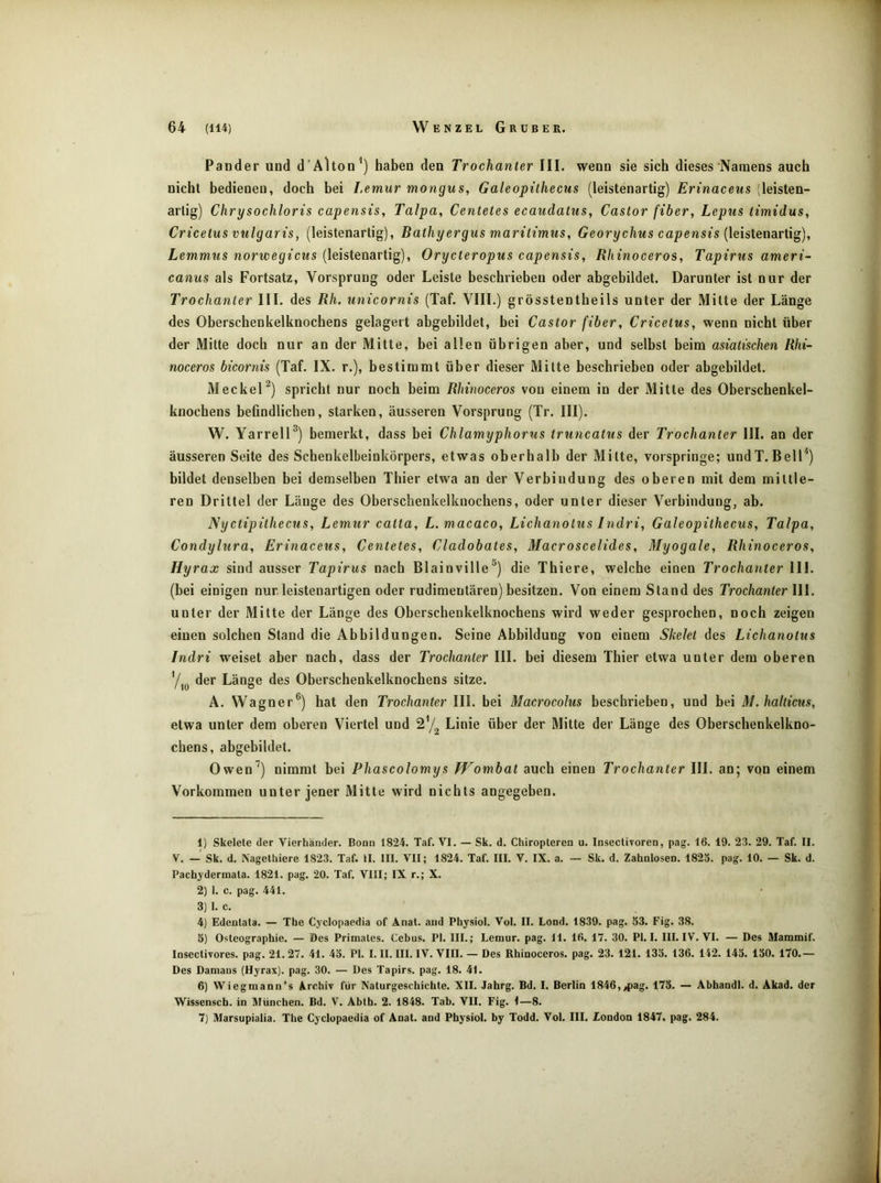 Pander uad d’Altonhaben den Trochanter FII. wenn sie sich dieses Namens auch nicht bedienen, doch bei Lemur mongus, Galeopithecus (leistenartig) Erinaceus (leisten- artig) Chrysochloris capensis, Talpa, Centetes ecaudatus, Castor fiber, Lepus timidus, Cricetus vulgaris, (leistenartig), Bathyergus maritimus, Georychus capensis (leistenartig), Lemmus norwegicus (leistenartig), Orycteropus capensis, Rhinoceros, Tapirus ameri- canus als Fortsatz, Vorsprung oder Leiste beschrieben oder abgebildet. Darunter ist nur der Trochanter III. des Rh, iinicornis (Taf. VIII.) grösstentheils unter der Mitte der Länge des Oberschenkelknochens gelagert abgebildet, bei Castor fiber, Cricetus, wenn nicht über der Mitte doch nur an der Mitte, bei allen übrigen aber, und selbst beim asiatischen Rhi- noceros bicornis (Taf. IX. r.), bestimmt über dieser Mitte beschrieben oder abgebildet. Meckel^) spricht nur noch beim Rhinoceros von einem in der Mitte des Oberschenkel- knochens befindlichen, starken, äusseren Vorsprung (Tr. III). W. Yarrell®) bemerkt, dass bei Chlamyphorus truncatus der Trochanter III. an der äusseren Seite des Schenkelbeinkörpers, etwas oberhalb der Milte, vorspringe; undT. BelT') bildet denselben bei demselben Thier etwa an der Verbindung des oberen mit dem mittle- ren Drittel der Länge des Oberschenkelknochens, oder unter dieser Verbindung, ab. Nyctipithecus, Lemur catta, L. macaco, Lichanotus Tndri, Galeopithecus, Talpa, Condylura, Erinaceus, Centetes, Cladobates, Macroscelides, Myogale, Rhinoceros, Hyrax sind ausser Tapirus nach Blainville®) die Thiere, welche einen Trochanter III. (bei einigen nur. leistenartigen oder rudimentären) besitzen. Von einem Stand des Trochanter \\i. unter der Mitte der Länge des Oberschenkelknochens wird weder gesprochen, noch zeigen einen solchen Stand die Abbildungen. Seine Abbildung von einem Skelet des Lichanotus Indri weiset aber nach, dass der Trochanter III. bei diesem Thier etwa unter dem oberen der Länge des Oberschenkelknochens sitze. A. Wagner®) hat den Trochanter III. bei Macrocolus beschrieben, und bei M.halticus, etwa unter dem oberen Viertel und 27^ Linie über der Mitte der Länge des Oberschenkelkno- chens, abgebildet. Owen’) nimmt bei Phascolomys JVombat auch einen Trochanter III. an; von einem Vorkommen unter jener Mitte wird nichts angegeben. 1) Skelete der Vierhänder. Bonn 1824. Taf. VI. — Sk. d. Chiropteren u. Insectivoren, pag. 16. 19. 23. 29. Taf. II. V. — Sk. d. Nagelhiere 1823. Taf. II. III. VII; 1824. Taf. III. V. IX. a. — Sk. d. Zahnlosen. 1823. pag. 10. — Sk. d. Fachydermata. 1821. pag. 20. Taf. VIII; IX r.; X. 2) 1. c. pag. 441. 3) 1. c. 4) Edenlata. — The Cj^clopaedia of Anal, and Physiol. Vol. II. Lond. 1839. pag. 53. Fig. 38. 5) Osteographie. — Des Primates. Cebus. Fl. III.; Lemur, pag. 11. 16. 17. 30. Fl. I. III. IV. VI. — Des Mammif. Insectivores. pag. 21.27. 41. 43. Fl. I. II. III. IV. VIII. — Des Rhinoceros. pag. 23. 121. 133. 136. 142. 143. 130. 170.— Des Damans (Hyrax). pag. 30. — Des Tapirs, pag. 18. 41. 6) Wiegmann’s Archiv für Naturgeschichte. XII. Jahrg. Bd. I. Berlin 1846,^ag. 175. — Abhandl. d. Akad. der Wissensch. in München. Bd. V. Abth. 2. 1848. Tab. VII. Fig. 1—8. 7) Marsupialia. The Cyclopaedia of Anat. and Physiol. by Todd. Vol. III. London 1847. pag. 284.