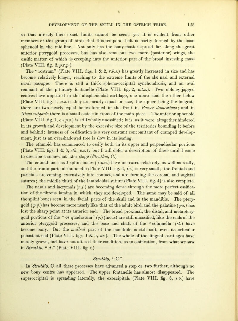 so that already their exact limits cannot be seen; yet it is evident from other members of this group of birds that this temporal belt is partly formed by the basi- sphenoid in the mid line. Not only has the bony matter spread far along the great anterior pterygoid processes, but has also sent out two more (posterior) wings, the ossific matter of which is creeping into the anterior part of the broad investing mass (Plate VIII. fig. 2,p.r.p.). The “rostrum” (Plate VIII. figs. 1 & 2, r.h.s.) has greatly increased in size and has become relatively longer, reaching to the extreme limits of the alee nasi and external nasal passages. There is still a thick spheno-occipital synchondrosis, and an oval remnant of the pituitary fontanelle (Plate VIII. fig. 2, p.t.s.). Two oblong jagged centres have appeared in the alisphenoidal cartilage, one above and the other below (Plate VIII. fig. 1, a.s.); they are nearly equal in size, the upper being the longest; there are two nearly equal bones formed in the front in Passer domesticus; and in Nisus vulgaris there is a small ossicle in front of the main piece. The anterior sphenoid (Plate VIII. fig. 1, o.s.p.s.) is still wholly unossified; it is, as it were, altogether hindered in its growth and development by the excessive size of the territories bounding it before and behind: lateness of ossification is a very constant concomitant of cramped develop- ment, just as an overshadowed tree is slow in its leafing. The ethmoid has commenced to ossify both in its upper and perpendicular portions (Plate VIII. figs. 1 & 3, eth. p.e.); but I will defer a description of these until I come to describe a somewhat later stage (Struthio, C.). The cranial and nasal splint bones (fp.n.) have increased relatively, as well as really, and the fronto-parietal fontanelle (Plate VIII. fig. 3,fo.) is very small; the frontals and parietals are coming extensively into contact, and are forming the coronal and sagittal sutures; the middle third of the lambdoidal suture (Plate VIII. fig. 4) is also complete. The nasals and lacrymals (n.l.) are becoming dense through the more perfect ossifica- tion of the fibrous lamina in which they are developed. The same may be said of all the splint bones seen in the facial parts of the skull and in the mandible. The ptery- goid (p.g.) has become more nearly like that of the adult bird, and the palatine (pa.) has lost the sharp point at its anterior end. The broad proximal, the distal, and metaptery- goid portions of the “ os quadratum” (q.) (incus) are still unossified, like the ends of the anterior pterygoid processes; and the base and shaft of the “ columella” (st.) have become bony. But the malleal part of the mandible is still soft, even its articular persistent end (Plate VIII. figs. 1 & 5, ar.). The whole of the lingual cartilages have merely grown, but have not altered their condition, as to ossification, from what we saw in Struthio, “ A.” (Plate VIII. fig. 6). Struthio, “ C.” In Struthio, C. all these processes have advanced a step or two further, although no new bony centre has appeared. The upper fontanelle has almost disappeared. The superoccipital is spreading laterally, the exoccipitals (Plate VIIL fig. 8, e.o.) have