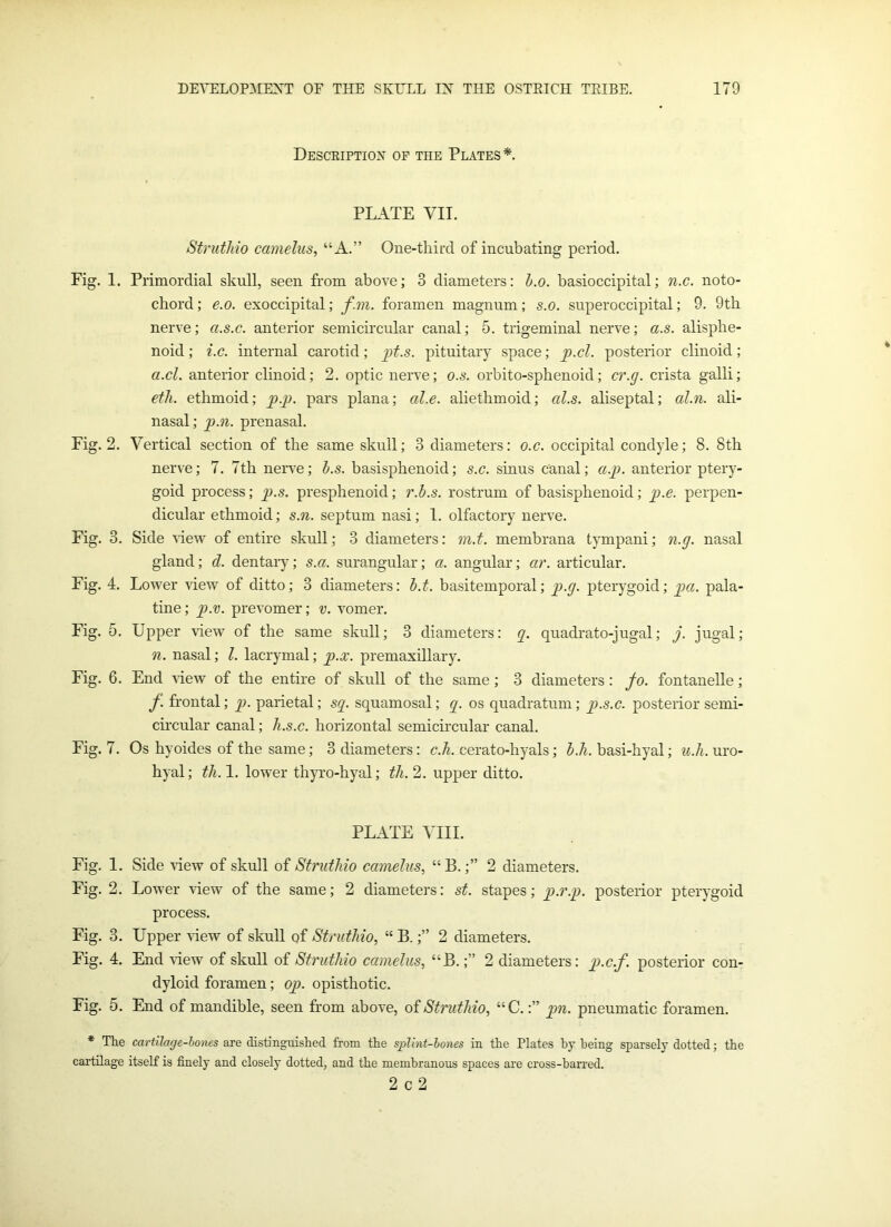 Description of the Plates*. PLATE VII. Struthio camelus, “A.” One-third of incubating period. Fig. 1. Primordial skull, seen from above; 3 diameters: b.o. basioccipital; n.c. noto- chord; e.o. exoccipital; fan. foramen magnum; s.o. superoccipital; 9. 9th nerve; a.s.c. anterior semicircular canal; 5. trigeminal nerve; a.s. alisphe- noid; i.c. internal carotid; jpt.s. pituitary space; p.cl. posterior clinoid; a.cl. anterior clinoid; 2. optic nerve; o.s. orbito-sphenoid; cr.g. crista galli; eth. ethmoid; pp. pars plana; cd.e. aliethmoid; al.s. aliseptal; al.n. ali- nasal; p.n. prenasal. Fig. 2. Vertical section of the same skull; 3 diameters: o.c. occipital condyle; 8. 8th nerve; 7. 7th nerve; b.s. basisphenoid; s.c. sinus canal; ap. anterior ptery- goid process; p.s. presphenoid; r.b.s. rostrum of basisphenoid; p.e. perpen- dicular ethmoid; s.n. septum nasi; 1. olfactory nerve. Fig. 3. Side view of entire skull; 3 diameters: m.t. membrana tympani; n.g. nasal gland; d. dentary; s.a. surangular; a. angular; ar. articular. Fig. 4. Lower view of ditto; 3 diameters: b.t. basitemporal; p.g. pterygoid; pa. pala- tine; p.v. prevomer; v. vomer. Fig. 5. Upper view of the same skull; 3 diameters: q. quadrato-jugal; j. jugal; n. nasal; l. lacrymal; p.x. premaxillary. Fig. 6. End view of the entire of skull of the same; 3 diameters: fo. fontanelle; f frontal; p. parietal; sq. squamosal; q. os quadratum; p.s.c. posterior semi- circular canal; h.s.c. horizontal semicircular canal. Fig. 7. Os hyoides of the same; 3 diameters: c.h. cerato-hyals; b.h. basi-hyal; u.h. uro- hyal; th. 1. lower thyro-hyal; th. 2. upper ditto. PLATE VIII. Fig. 1. Side view of skull of Struthio camelus, “B.;” 2 diameters. Fig. 2. Lower view of the same; 2 diameters: st. stapes; p.r.p. posterior pterygoid process. Fig. 3. Upper view of skull of Struthio, “ B.;” 2 diameters. Fig. 4. End view of skull of Struthio camelus, “B.;” 2 diameters: p.c.f. posterior con- dyloid foramen; op. opisthotic. Fig. 5. End of mandible, seen from above, of Struthio, “ C.:” pn. pneumatic foramen. * The cartilage-bones are distinguished from the splint-bones in the Plates by being sparsely dotted; the cartilage itself is finely and closely dotted, and the membranous spaces are cross-barred. 2 c 2