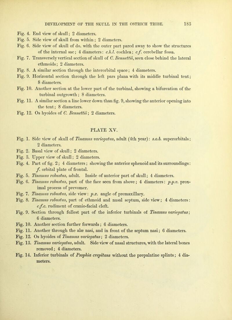 Fig. 4. End view of skull; 2 diameters. Fig. 5. Side view of skull from within ; 2 diameters. Fig. 6. Side view of skull of do. with the outer part pared away to show the structures of the internal sac; 4 diameters: c.h.l. cochlea; c.f. cerebellar fossa. Fig. 7. Transversely vertical section of skull of C. Bennettii, seen close behind the lateral ethmoids; 2 diameters. Fig. 8. A similar section through the interorbital space; 4 diameters. Fig. 9. Horizontal section through the left pars plana with its middle turbinal tent ; 8 diameters. Fig. 10. Another section at the lower part of the turbinal, showing a bifurcation of the turbinal outgrowth ; 8 diameters. Fig. 11. A similar section a line lower down than fig. 9, showing the anterior opening into the tent; 8 diameters. Fig. 12. Os hyoides of C. Bennettii’, 2 diameters. PLATE XV. Fig. 1. Side view of skull of Tinamus variegatus, adult (4th year): s.o.b. superorbitals; 2 diameters. Fig. 2. Basal view of skull; 2 diameters. Fig. 3. Upper view of skull; 2 diameters. Fig. 4. Part of fig. 2; 4 diameters ; showing the anterior sphenoid and its surroundings: f. orbital plate of frontal. Fig. 5. Tinamus robustus, adult. Inside of anterior part of skull; 4 diameters. Fig. 6. Tinamus robustus, part of the face seen from above ; 4 diameters: p.p.v. prox- imal process of prevomer. Fig. 7. Tinamus robustus, side view: p.x. angle of premaxillary. Fig. 8. Tinamus robustus, part of ethmoid and nasal septum, side view; 4 diameters: c.f.c. rudiment of cranio-facial cleft. Fig. 9. Section through fullest part of the inferior turbinals of Tinamus variegatus; 6 diameters. Fig. 10. Another section further forwards ; 6 diameters. Fig. 11. Another through the alee nasi, and in front of the septum nasi; 6 diameters. Fig. 12. Os hyoides of Tinamus variegatus; 2 diameters. Fig. 13. Tinamus variegatus, adult. Side view of nasal structures, with the lateral bones removed; 4 diameters. Fig. 14. Inferior turbinals of Psophia crepitans without the prepalatine splints; 4 dia- meters.
