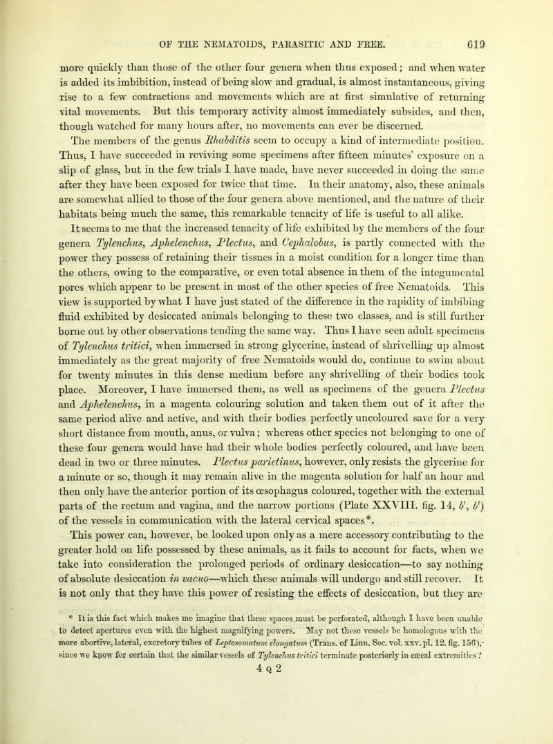 more quickly than those of the other four genera when thus exposed; and when water is added its imbibition, instead of being slow and gradual, is almost instantaneous, giving rise to a few contractions and movements which are at first simulative of returning vital movements. But this temporary activity almost immediately subsides, and then, though watched for many hours after, no movements can ever be discerned. The members of the genus Ehahditis seem to occupy a kind of intermediate position. Thus, I have succeeded in reviving some specimens after fifteen minutes’ exposure on a slip of glass, but in the few trials I have made, have never succeeded in doing the same after they have been exposed for twice that time. In their anatomy, also, these animals are somewhat allied to those of the four genera above mentioned, and the nature of their habitats being much the same, this remarkable tenacity of life is useful to all alike. It seems to me that the increased tenacity of life exhibited by the members of the four genera Tylencliiis, Aphelenchus, Plectus, and Cejylialohus, is partly connected with the power they possess of retaining their tissues in a moist condition for a longer time than the others, owing to the comparative, or even total absence in them of the integumental pores which appear to be present in most of the other species of free Nematoids. This view is supported by what I have just stated of the difference in the rapidity of imbibing fluid exhibited by desiccated animals belonging to these two classes, and is still furtlier borne out by other observations tending the same way. Thus I have seen adult specimens of Tylenchus tritici, when immersed in strong glycerine, instead of shrivelling up almost immediately as the great majority of free Nematoids would do, continue to swim about for twenty minutes in this dense medium before any shrivelling of their bodies took place. Moreover, I have immersed them, as well as specimens of the genera Plectus and Aphelenchus, in a magenta colouring solution and taken them out of it after the same period alive and active, and with their bodies perfectly uncoloured save for a very short distance from mouth, anus, or vulva; whereas other species not belonging to one of these four genera would have had their whole bodies perfectly coloured, and have been dead in two or three minutes. Plectus ymrietinus, however, only resists the glycerine for a minute or so,.though it may remain alive in the magenta solution for half an hour and then only have the anterior portion of its oesophagus coloured, together Avith the external parts of the rectum and Angina, and the narrow portions (Plate XXVIII. fig. 14, V, V) of the vessels in communication AAuth the lateral cervical spaces*. This power can, hoAvever, be looked upon only as a mere accessory contributing to the greater hold on life possessed by these animals, as it fails to account for facts, Avhen Ave take into consideration the prolonged periods of ordinary desiccation—to say nothing of absolute desiccation in vacuo—AAkich these animals will undergo and still recoA’er. It is not only that they have this power of resisting the effects of desiccation, but they are * It is tins fact wMch makes me imagme that these spaces.must he perforated, although I have been uuahlc to detect apertures even Avith the highest magnifying poAvers. May not these A'essels be homologous Avith the more abortive, lateral, excretory tubes of Leposomatum ehngatum (Trans, of Linn. Soc. vol. xxv. pi. 12. fig. 156),- since Ave kpoAV for certain that the similar vessels of Tylenchus tritici terminate posteriorly in csecal extremities ? 4 Q 2