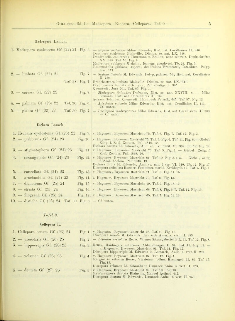 GrOLDFUSS Bd. I.: Madrepora. Eschara. Cellepora. Taf. 9. 0 Madrepora Lamck. 1. Madrepora eoalescens Gf. (22) 21 Fig. 6. 2. — limbata Gf. (22) 21 Fig . 7. Taf. 38. Fig . 7. o o. - — cariosa Gf. (22) 22 Fig . 8. 4. - — palmata Gf. (23) 22 Taf. 30. Fig . 6. 5. - - glabra Gf. (23) 22 Taf. 30. Fig . 7. Eschara Lamck. 1. Eschara cvclostoma Gf. (: 23) 22 Fig . 9. 2. — piriformis Gf. (24) 23 Fig. 10. 3. — stigmatophora Gf. (24) 23 Fig. 11. 4. — sexangularis Gf. (24) 23 Fig. 12. 5. — cancellata Gf. (24) 23 Fig. 13. 6. — arachnoidea Gf. (24) 23 Fig. 14. 7. — dichotoma Gf. (25) 24 Fig. 15. 8. — striata Gf. (25) 24 Fig. 16. 9. — füograna Gf. (25) 24 Fig. 17. 10. — disticha Gf. (25) 24 Taf. 30. Fig '. 8. Tafel 9. Cellepora L. 1. Cellepora ornata Gf. (26) 24 Fig. 1. 2. — urceolaris Gf. (26) 25 Fig. 2. 3. — hippocrepis Gf (26) 25 Fig. 3. 4. — velamen Gf (26) 25 Fig. 4. 5. — dentata Gf (27) 25 Fig. 5. !— Stylina eoalescens Milne Edwards, Hist. nat. Coralliaires II. 246. ; Dentipora eoalescens Blainville, Diction. sc. nat. LX. 348. j Dendvohelia eoalescens Thurmann u. Etallon, neue Schweiz. Denkschriften XX. 358. Taf. 50. Fig. 4. j Madrepora sublaevis Michelin, Iconogr. zoophytol. Tb. 25. Fig. 5. | Psammohelia gibbosa, aspera, dendroidea Fromentel, Introduct. Polyp, foss. 177. — Stylina limbata M. Edwards, Polyp, palaeoz. 59; Hist. nat. Coralliaires Ii. 238. Branchastraea limbata Blainville, Diction. sc. nat. LX. 347. Cryptocoenia limbata d’Orbigny, Pal. stratigr. I. 385. Quenstedt. Jura 701. Taf. 85. Fig. 1. — Madrepora Solanderi Defrance, Dich sc. nat. XXVIII. 8. — Milne Edwards, Flist. nat. Coralliaires III. 162. Ästraea Solanderi Quenstedt, Handbuch Petrefk. 645. Taf. 57. Fig. 12. — Astrohelia palmata Milne Edwards, Hist. nat. Coralliaires II. 111. — Cf. unten. — Pocilopora madreporacea Milne Edwards, Hist. nat. Coralliaires III. 308. — Cf. unten. [ v. Hagenow, Bryozoen Mastricht 75. Taf. 9. Fig. 7. Taf. 12. Fig. 3. ! v. Hagenow, Bryozoen Mastricht 75. Taf. 9. Fig. 6. Taf. 11. Fig. 6.— Giebel, Zeitg. f. Zool. Zootom. Pal. 1848. 19. Eschara costata M. Edwards, Ann. sc. nat. 1836. VI. 338. Tb. 12. Fig. 14. v. Hagenow, Bryozoen Mastricht 73. Taf. 9. Fig. 1. — Giebel, Zeitg. f. Zool. Zootom. Pal. 1848. 20. v. Hagenow, Bryozoen Mastricht 81. Taf. 10. Fig. 3.4.5. — Giebel, Zeitg. f. Zool. Zootom. Pal. 1848. 19. Eschara dubia M. Edwards, Ann. sc. nat. 2 ser. VI. 340. Tb. 12. Fig. 17. Discopora reticulata Roemer, Versteiner. nordd. Kreidegeb. 12. Taf. 5. Fig. 1. v. Hagenow, Bryozoen Mastricht 71. Taf. 8. Fig. 14. 15. : v. Hagenow, Bryozoen Mastricht 70. Taf. 8. Fig. 13. v. Hagenow, Bryozoen Mastricht 79. Taf. 9. Fig. 18. 19. v. Hagenow, Bryozoen Mastricht 68. Taf. 8. Fig. 6. 7. Taf. 12. Fig. 13. v. Hagenow, Bryozoen Mastricht 65. Taf. 7. Fig. 12.13. — Cf. unten. v. Hagenow, Bryozoen Mastricht 98. Taf. 10. Fig 16. Discopora ornata M. Edwards, Lamarck Anim. s. vert. II. 253. — Lepralia urceolaris ßeuss, Wiener Sitzungsberichte L. 21. Taf. 12. Fig. S. Reuss, Haidiugers naturwiss. Abhandlungen II. 94 Taf. 11. Fig. 14. — v. Hagenow, Bryozoen Mastricht 91. Taf. 11. Fig. 17. Discopora hippocrepis M. Edwards in Lamarck, Anim. s. vert. II. 252. v. Hagenow, Bryozoen Mastricht 97. Taf. 12. Fig. 1. Marginaria velamen Reuss, Versteiner. böhm. Kreidegeb. II. 69. Taf. 15. Fig. 15. Discopora velamen M. Edwards in Lamarck Anim. s. vert. II. 253. v. Hagenow, Bryozoen Mastricht 99. Taf. 10. Fig. 18. Membranipora dentata Blainville, Manuel Actinol. 447.