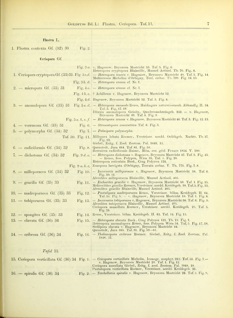 11 iistra L. 1. Flustra contexta Gf. (32) 30 Fig. 2. €('ri<i|)oi'a Gf. Fig. 3 a. 1. Ceriopora cryptopora Gf. (33)31. Fig. 3 c.d. Fig. ob. d. 2. — micropora Gf (33) 31 Fig. 4 a. Fig. 4 b. c. Fig. 4 d. 3. — anomalopora Gf. (33) 31 Fig. 5 c. d. Fig. . 5 a. b. e. f. 4. — verrucosa Gf. (33) 31 Fig. 6. 5. — polymorplia Gf. (34) 32 Fig. 7. Taf. 30. Fig. 11. 6. — radiciformis Gf. (34) 32 Fig. 8. 7. — dichotoma Gf. (34) 32 Fig. 9 d. e. F ig. 9 a. b. c. 8. — milleporacea Gf. (34) 32 Fig. 10. 9. — gracilis Gf. (35) 33 Fig. 11. 10. — madreporacea Gf. (35) 33 Fig. 12. 11. — tubiporacea Gf. (35) 33 Fig. 13. 12. — spongites Gf. (35) 33 Fig. 14. 13. — clavata Gf. (36) 34 Fig. 15. 14. — cribrosa Gf. (36) 34 Fig. 16. v. Hagenow, Bryozoen Mastricht 53. Taf. 5. Fig. 6. Heteropora cryptopora Blainville, Manuel Actinol. Tb. 70. Fig. 4. —- Heteropora tenera v. Hagenow, Bryozoen Mastricht 43. Taf. 5. Fig. 14. Multicreseis Michelini d’Orbigny, Terr. cretac. Tb. 799. Fig. 14.15. — Heteropora crassa cf. Nr. 7. — Heteropora crassa cf Nr. 7. j ? Achilleum v. Hagenow, Bryozoen Mastricht 52. Hagenow, Bryozoen Mastricht 52. Taf. 5. Fig. 4. — Heteropora anomale Reuss, Haidingers natimvissensch. Abhandlg. II. 34. Taf 5. Fig. 17. 18. Ditaxia anomalopora Geinitz, Quadersandsteingeb. 242. — v. Hagenow, Bryozoen Mastricht 49. Taf. 4. Fig. 9. — Heteropora crassa v. Hagenow, Bryozoen Mastricht 46. Taf 5. Fig. 12.13. — Stromatopora concentrica Taf. 8. Fig. 5. — Palmipora poljmorpha. Millepora lobata Roemer, Versteiner. nordd. Oolithgeb. Nachtr. Tb. 17. Fig. 12. Giebel, Zeitg. f. Zool. Zootom. Pal. 1848. 11. Quenstedt, Jura 664. Taf. 81. Fig. 58. Berenicea radiciformis Haime, Mem. soc. geol. France 1854. V. 180. — Heteropora dichotoma v. Hagenow, Bryozoen Mastricht 47. Taf. 5. Fig. 15. — Reuss, foss. Polypen, Wien 35. Taf. 5. Fig. 20. Heteropora reticulata Bush, Crag- Polyzoa 124. Zonopora laevigata d’Orbigny, Terrain cretac. V. Tb. 771. Fig. 7. 8. ■— Inversaria milleporacea v. Hagenow, Bryozoen Mastricht 58. Taf. 6. Fig. 10. 11. Alveolites milleporacea Blainville, Manuel Actinol. 4G5. — Escharites gracilis v. Hagenow, Bryozoen Mastricht 56. Taf. 1. Fig. 15. Meliceritites gracilis Roemer, Versteiner. nordd. Kreidegeb. 18. Taf.5. Fig. 13. Alveolites gracilis Blainville, Manuel Actinol. 405. — Pustulipora madreporacea Reuss, Versteiner. böhm. Kreidegeb. II. 64. Taf. 14. Fig. 5. — v. Hagenow, Bryozoen Mastricht 18. Taf. 1. Fig. 8. — Inversaria tubiporacea v. Hagenow, Bryozoen Mastricht 58. Taf. 6. Fig. 9. Alveolites tubiporacea Blainville, Manuel Actinol. 405. Ceriopora rnajnillata Roemer, Versteiner. nordd. Kreidegeb. 23. Taf. 5. Fig. 25. Reuss, Versteiner. böhm. Kreidegeb. II. 63. Taf. 14. Fig. 13. — Heteropora clavata Bush, Crag Polyzoa 123. Tb. 19. Fig. 7. Heteropora anomalopora Reuss, foss. Polypen Wien 34. Taf, 5. Fig. 17. 18. Stellipora clavata v. Hagenow, Bryozoen Mastricht 44. Quenstedt, Jura C65. Taf. 81. Fig. 59—61. — Thalamopora cribrosa Roemer. Giebel, Zeitg. f. Zool. Zootom. Pal. 1848. 21. Tafel 11. 15. Ceriopora verticillata Gf. (36) 34 Fig. 1. Fig. 2- — Cricopora verticillata Michelin, Iconogr. zoophyt. 212. Taf. 53. Fig. 7.— v. Hagenow, Bryozoen Mastricht 20. Taf. 1. Fig. 12. Ceriopora annullata Giebel, Zeitg. f. zool. Zootom. Pal. 1848. 18. Pustulopora verticillata Roemer, Versteiner. nordd. Kreidegeb. 21. — Terebellaria spiralis v. Hagenow, Bryozoen Mastricht 22. Taf. 3. Fig. 9. 16. — spiralis Gf (36) 34