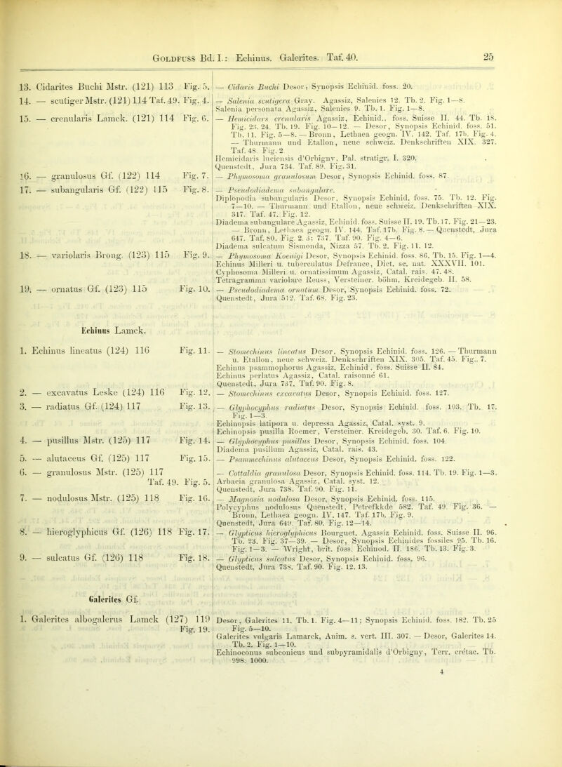 13. Cidarites Buchi Mstr. (121) 113 Big. 5. — Cidaris Buclii Desor, Synopsis Echinid. foss. 20. 14. — scutiger Mstr. (121) 114 Taf. 49. Fig. 4. 15. — crenularis Lamck. (121) 114 Fig. 6. l6. — granulosus Gf. (122) 114 Fig. 7. 17. — subangularis Gf. (122) 115 Fig. 8. 18. — variolaris Brong. (123) 115 Fig. 9. 19. — ornatus Gf. (123) 115 Fig. 10. Echinus Lamck. 1. Echinus lineatus (124) 116 Fig. 11. 2. — excavatus Leske (124) 116 Fig. 12. 3. — radiatus Gf. (124) 117 Fig. 13. 4. — pusillus Mstr. (125) 117 Fig. 14. 5. — alutaceus Gf. (125) 117 Fig. 15. G. — granulosus Mstr. (125) 117 Taf. 49. Fig. 5. 7. — nodulosus Mstr. (125) 118 Fig. 16. 8. — hieroglyphicus Gf. (126) 118 Fig. 17. 9. — sulcatus Gf. (126) 118 Fig. 18. — Salenia scutigera Gray. Agassiz, Salenies 12. Tb. 2. Fig. 1—S. Salenia personata Agassiz, Salenies 9. Tb. 1. Fig. 1—8. — Hemicidars crenularis Agassiz, Ecbinid., foss. Suisse II. 44. Tb. 18. Fig. 2:-i. 24. Tb. 19. Fig. 10—12. — Desor, Synopsis Ecbinid. foss. 51. Tb. 11. Fig. 5—8. —Bronn, Letbaea geogn. IV. 142. Taf. 17b. Fig. 4. — Thunnann und Etallon, neue Schweiz. Denkschriften XIX. 327. Taf. 48. Fig. 2 flemicidaris lnciensis d’Orbigny, Pal. stratigr. I. 320. Quenstedt, Jura 734. Taf. 89. Fig. 31. — Pltymosoma granulosum Desor, Synopsis Ecbinid. foss. 87. — Pseudodiadema subangulare. Diplopodia subangularis Desor, Synopsis Echinid. foss. 75. Tb. 12. Fig. 7 — 10. — Thurmann und Etallon, neue Schweiz, Denkschriften XIX. 317. Taf. 47. Fig. 12. Diadema subangulare Agassiz, Echinid. foss. Suisse II. 19. Tb. 17. Fig. 21—23. — Bronn, Lothaea geogn. IV. 144. Taf. 17b. Fig. 8.— Quenstedt, dura 647. Taf. 80. Fig. 2. 3; 737. Taf. 90. Fig. 4—6. Diadema suleatum Sismonda, Nizza 57. Tb. 2. Fig. 11. 12. — Phymosoma Koeniyi Desor, Synopsis Echinid. foss. 86. Tb. 15. Fig. 1—4. Echinus Milleri u. tuberculatus Defrance, Dict. sc. nat. XXXVII. 101. Cyphosoma Milleri u. ornatissimum Agassiz, Catal. rais. 47. 48. Tetragramma variolarc Keuss, Versteiner. böhm. Kreidegeb. II. 58. — Pseudodiadema ornatum Desor, Synopsis Echinid. foss. 72. Quenstedt, Jura 512. Taf. 68. Fig. 23. — Stomechinus lineatus Desor, Synopsis Echinid. foss. 126.—Thurmann u. Etallon, neue Schweiz. Denkschriften XIX. 305. Taf. 45. Fig.. 7. Echinus psammopliorus Agassiz, Echinid . foss. Suisse II. 84. Echinus perlatus Agassiz, Catal. raisonne 61. Quenstedt, Jura 737. Taf. 90. Fig. 8. — Stomechinus excavatus Desor, Synopsis Echinid. foss. 127. — Glyphocyjdius radiatus Desor, Synopsis Echinid. foss. 103. Tb. 17. Fig. 1—3. Echinopsis latipora u. depressa Agassiz, Catal. syst. 9. Echinopsis pusilla Roemer, Versteiner. Kreidegeb. 30. Taf. 6. Fig. 10. — Glyphocyphus pusillus Desor, Synopsis Echinid. foss. 104. Diadema pusillum Agassiz, Catal. rais. 43. —- Psammechinus cdutaceus Desor, Synopsis Echinid. foss. 122. — Cottaldia granulosa Desor, Synopsis Echinid. foss. 114. Tb. 19. Fig. 1—3. Arbacia granulosa Agassiz, Catal. syst. 12. Quenstedt. Jura 738. Taf. 90. Fig. 11. — Magnosia nodulosa Desor, Synopsis Echinid. foss. 115. Polycyphus nodulosus Quenstedt. Petrefkkde 582. Taf. 49. Fig. 36. — Bronn, Lethaea geogn. IV. 147. Taf. 17b. Fig. 9. Quenstedt, Jura 649. Taf. 80. Fig. 12—14. — Glypticus hier,oglyphicus Bourguet. Agassiz Echinid. foss. Suisse II. 96. Tb. 23. Fig. 37—39. — Desor, Synopsis Echinides fossiles 95. Tb. 16. Fig. 1 — 3. — YYright, brit. foss. Echinod. II. 186. Tb. 13. Fig. 3 — Glypticus sulcatus Desor, Synopsis Echinid. foss. 96. Quenstedt, Jura 738. Taf. 90. Fig. 12. 13. fialtTitcs Gf. 1. Galerites albogalerus Lamck (127) 119 Desor, Galerites 11. Tb.l. Fig. 4—11; Synopsis Echinid. foss. 182. Tb. 25 Fig. 19. Fig. 5—10. Galerites vulgaris Lamarck, Anim. s. vert. III. 307. — Desor, Galerites 14. Tb. 2. Fig. 1—10. Echinoconus subconicus und subpyramidalis d’Orbigny, Terr. cretac. Tb. 998. 1000. 4