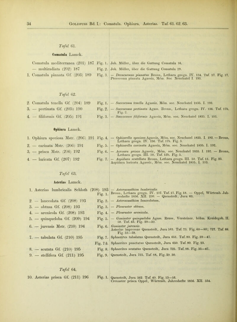 Tafel 61. Comatula Lamck. Comatula mediterranea (201) 187 — multiradiata (202) 187 1. Comatula pinnata Gf. (203) 189 Fig. 1. Fig. 2. Fig. 3. Joh. Müller, über die Gattung Comatula 16. Job. Müller, über die Gattung Comatula 29. — Decacnemus pinnatus Bronn, Lethaea geogn. IV. 134. Taf. 17. Fig. 17. Pterocoma pinnata Agassiz, Mem. Soc Neuchatel I. 193. Tafel 62. 2. Comatula tenella Gf. (204) 189 Fig. 1. 3. — pectinata Gf. (205) 190 Fig. 2. 4. — filiformis Gf (205) 191 Fig-3. Ophiura Lamck. 1. Ophiura speciosa Mstr. (206) 191 Fig. 4. 2. — carinata Mstr. (206) 191 Fig. 5. 3. — prisca Mstr. (206) 192 Fig. 6. 4. — loricata Gf. (207) 192 Fig. 7. Tafel 63. Asterias Lamck. 1. Asterias lumbricalis Schloth (208) 193 Fig. 1. 2. — lanceolata Gf. (208) 193 Fig. 2. 3. — obtusa Gf. (208) 193 Fig. 3. 4. — arenicola Gf. (208) 193 Fig. 4. 5. — quinqueloba Gf. (209) 194 Fig. 5. 6. — jurensis Mstr. (210) 194 Fig. 6. 7. — tabulata Gf (210) 195 Fig. 7. Fig. 7 k. 8. — scutata Gf. (210) 195 Fig. 8. 9. — stellifera Gf (211) 195 Fig. 9. — Saccocoma tenella Agassiz, Mem. soc. Neuchatel 1835. I. 193. — Saccocoma pectinata Agass. Bronn, Lethaea geogn. IV. 136. Taf. 17b. Fig. 2. — Saccocoma filiformis Agassiz, Mem. soc. Neuchatel 1835. I. 193. — Ophiurella speciosa Agassiz, Mem. soc. Neuchatel 1835. I. 192. — Bronn, Lethaea geogn. IV. 136. Taf. 17b. Fig. 3. — Ophiurella carinata Agassiz, Mem. soc. Neuchatel 1835. I. 192. — Acroura prisca Agassiz, Mem. soc. Neuchatel 1835. I. 192. — Bronn, Lethaea geogn. III. 50. Taf. 13b. Fig. 5. — Aspiclura scutellata Bronn, Lethaea geogn. III. 50. Taf. 11. Fig. 23. Aspidura loricata Agassiz, Mem. soc. Neuchatel 1835. I. 193. — Asteracanthion lumbricalis. Bronn, Lethaea geogn. IV. 137. Taf. 17. Fig. 18. — Oppel, Würtemb. Jah- reshefte 1856. XII. 230. — Quenstedt, Jura 63. — Ast er acanthion lanceolatum. — Pleuraster obtusa. — Pleuraster arenicola. — Goniaster quinqueloba Agass. Reuss, Versteiner. böhm. Kreidegeb. II. 58. Taf. 43. Fig. 20—32. Goniaster jurensis. Asterias impressae Quenstedt, Jura 583. Taf. 73. Fig. 60—80; 727. Taf. 88. Fig. 53—59. Sphaerites tabulatus Quenstedt , Jura 651. Taf. 80. Fig. 39—47. Sphaerites punctatus Quenstedt, Jura 650. Taf. 80. Fig. 23. Sphaerites seutatus Quenstedt, Jura 725. Taf. 88. Fig. 35—47. Quenstedt, Jura 725. Taf. 88. Fig. 29. 30. Tafel 64. 10. Asterias prisca Gf. (211) 196 Fig. 1. Quenstedt, Jura 362. Taf. 49. Fig. 13—16. Crenaster prisca Oppel, Würtemb. Jahreshefte 1856. XII. 554.