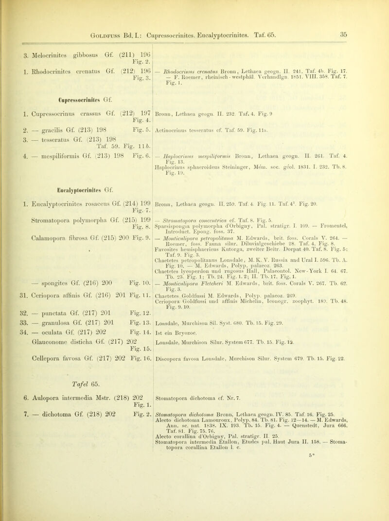 GoldfüSS Bd. I.: Cupressocrinites. Eucalyptocrinites. Taf. 65, 3. Melocrinites gibbosus Gf. 1. Rhodocrinites crenatus Gf. Cupressocrinites Gf. 1. Cupressocrinus crassus Gf. 2. — gracilis Gf. (213) 198 3. — tesseratus Gf. (213) 198 Taf. 59. Fig. 115. 4. — mespiliformis Gf. (213) 198 Fig. 6. Eucalyptocrinites Gf. 1. Eucalyptocrinites rosaceus Gf. (214) 199 Fig. 7. Stromatopora polymorpha Gf. (215) 199 Fig. 8. Calamopöra fibrosa Gf. (215) 200 Fig. 9. (211) 196 Fig. 2. (212) 196 Fig. 3. (212) 197 Fig. 4. Fig. 5. — spongites Gf. (216) 200 Fig. 10. 31. Ceriopora affinis Gf. (216) 201 Fig. 11. 32. — punctata Gf. (217) 201 Fig. 12. 33. — granulosa Gf. (217) 201 Fig. 13. 34. — oculata Gf. (217) 202 Fig. 14. Glauconome disticha Gf. (217) 202 Fig. 15. Cellepora favosa Gf. (217) 202 Fig. 16. -— Bhodocrinus crenatus Bronn, Lethaea geogn. II. 241. Taf. 4b. Fig. 17. — F. Roemer, rheinisch - westphäl. Verhandlgn. 1851. VIII. 358. Taf. 7. Fig. 1. Bronn, Lethaea geogn. II. 232. Taf. 4. Fig. 9 Actinocrinus tesseratus cf. Taf. 59. Fig. 11a. — Haplocrinus mespiliformis Bronn, Lethaea geogn. II. 261. Taf. 4. Fig. 13. Haplocrinus sphaeroideus Steininger, Mein. soc. geol. 1831. I. 232. Tb. 8. Fig. 19. Bronn, Lethaea geogn. 11.259. Taf. 4. Fig. 11. Taf. 41. Fig. 20. — Stromatopora concentrica cf. Taf. 8. Fig. 5. Sparsispongia polymorpha d’Orbigny, Pal. stratigr. I. 109. — Fromentel, Introduct. Epong. foss. 37. — Monticulipora petropolitana M. Edwards, brit. foss. Corals Y. 264. — Roemer, foss. Fauna silur. Diluvialgeschiebe 28. Taf. 4. Fig. 8. Favosites hemisphaerieus Kutorga, zweiter Beitr. Dorpat 40. Taf. 8. Fig. 5; Taf. 9. Fig. 3. Chaetetes petropolitanus Lonsdale, M. K. V. Russia and Ural I. 596. Tb. A. Fig. 10. — M. Edwards, Polyp, palaeoz. 263. Chaetetes lycoperdon und rugosus Hall, Palaeontol. New-York I. 64. 67. Tb. 23i Fig. 1; Tb. 24. Fig. 1.2; II. Tb. 17. Fig. 1. — Monticulipora Fletcheri M. Edwards, brit. foss. Corals Y. 267. Tb. 62. Fig. 3. Chaetetes Goldfussi M. Edwards, Polyp, palaeoz. 269. Ceriopora Goldfussi und affinis Michelin, Iconogr. zoophyt. 189. Tb. 48. Fig. 9.10. Lonsdale, Murchison Sil. Syst. 680. Tb. 15. Fig. 29. Ist ein Bryozoe. Lonsdale, Murchison Silur. System 677. Tb. 15. Fig. 12. Discopora favosa Lonsdale, Murchison Silur. System 679. Tb. 15. Fig. 22. Tafel 65. 6. Aulopora intermedia Mstr. (218) 202 Fig. 1. Stomatopora dichotoma cf. Nr. 7. 7. — dichotoma Gf. (218) 202 Fig. 2. Stomatopora dichotoma Bronn, Lethaea geogn. IV. 85. Taf. 16. Fig. 25. Alecto dichotoma Lamouroux, Polyp. 84. Tb. 81. Fig. 12—14. — M. Edwards, Ann. sc. nat. 1838. IX. 193. Tb. 15. Fig. 4. — Quenstedt, Jura 666. Taf. 81. Fig. 75. 76. Alecto corallina d’Orbigny, Pal. stratigr. II. 25. Stomatopora intermedia Etallon, Etudes pal. Haut Jura II. 158. — Stoma- topora corallina Etallon 1. c. 5*