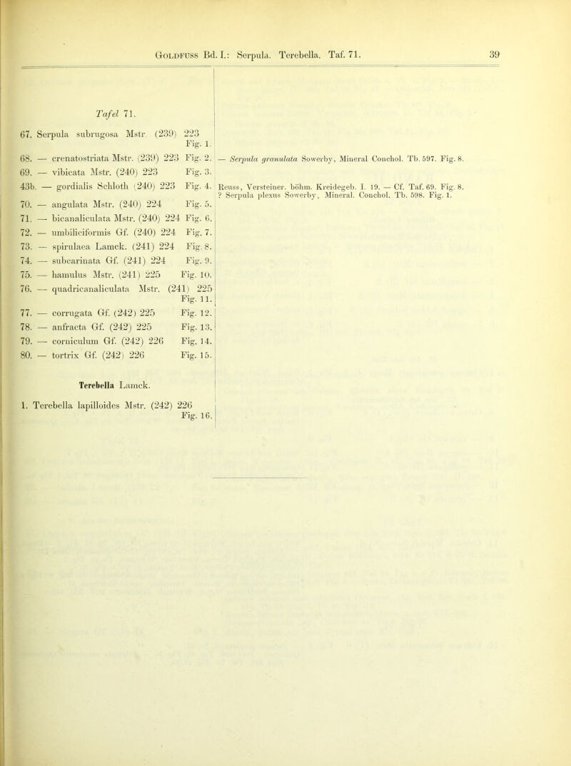 Tafel 71. 67. Serpula subrugosa Mstr. (239) 223 Big. 1. 68. — crenatostriata Mstr. (239) 223 Big’- 2. — Serpula granulata Sowerby, Mineral Conchol. Tb. 597. Fig. 8. 69. — vibicata Mstr. (240) 223 Fig. 3. 43b. — gordialis Schloth (240) 223 Fig. 4. Reuss, Yersteiner. böhm. Kreidegeb. I. 19. — Cf. Taf. 69. Fig. 8. ? Serpula plexus Sowerby, Mineral. Conchol. Tb. 598. Fig. 1. 70. — angulata Mstr. (240) 224 Fig. 5. 71. —- bieanaliculata Mstr. (240) 224 Fig. 6. 72. — umbiliciformis Grf. (240) 224 Fig. 7. 73. — spirulaea Lamck. (241) 224 Fig. 8. 74. — subcarinata Grf. (241) 224 Fig. 9. 75. — hamulus Mstr. (241) 225 Fig. 10. 76. — quadricanaliculata Mstr. (241) 225 Fig. 11. 77. —- corrugata Grf. (242) 225 Fig. 12. 78. — anfracta Grf. (242) 225 Fig. 13. 79. — corniculum Grf. (242) 226 Fig. 14. 80. — tortrix Grf. (242) 226 Fig. 15. Terebella Lamck. 1. Terebella lapilloides Mstr. (242) 226