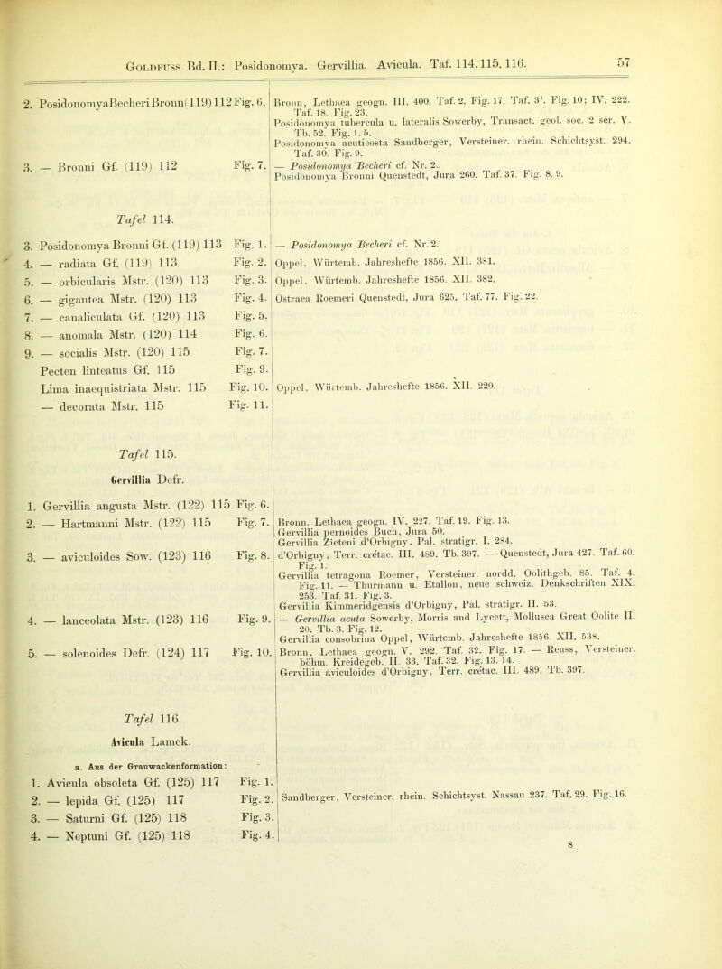 GoldfüSS Bd. II.: Posidonomya. Gervillia. Avicula. Taf. 114.115. 116. 2. PosidonomyaBecheriBronnf 119) 112Fig. 6. 3. — ßronni Gf. (119) 112 Fig. 7. Tafel 114. 3. Posidonomya Bronni Gf. (119) 113 Fig. 1. 4. — radiata Gf. (119) 113 Fig. 2. 5. — orbicularis Mstr. (120) 113 Fig. 3. | 6. — gigantea Mstr. (120) 113 Fig. 4.; 7. — canaliculata Gf. (120) 113 Fig. 5. 8. — anomala Mstr. (120) 114 Fig. 6. 9. — socialis Mstr. (120) 115 Fig. 7. Pecten linteatus Gf. 115 Fig. 9. Lima inaequistriata Mstr. 115 Fig. 10. — decorata Mstr. 115 Fig. 11. Tafel 115. Oervillia Defr. 1. Gervillia angusta Mstr. (122) 115 Fig. 6. 2. — Hartmanni Mstr. (122) 115 Fig. 7. 3. — aviculoides Sow. (123) 116 Fig. 8. 4. — lanceolata Mstr. (123) 116 Fig. 9. 5. — solenoides Defr. (124) 117 Fig. 10. Tafel 116. Avienla Lamck. a. Aus der Grauwackenformation 1. Avicula obsoleta Gf. (125) 117 Fig. 1. 2. — lepida Gf. (125) 117 Fig. 2. 3. — Saturni Gf. (125) 118 Fig. 3. 4. — Neptuni Gf. (125) 118 Fig. 4. Bronn, Lethaea geogn. III. 400. Taf. 2. Fig. 17. Taf. 31. Fig. 10; I\ . 222. Taf. 18. Fig. 23. Posidonomya tubercula u. lateralis Sowerby, Transact. geol. soc. 2 ser. \ . Tb. 52. Fig. 1.5. Posidonomya acuticosta Sandberger, Versteiner. rbein. Schichtsyst. 294. Taf. 30. Fig. 9. 'osidonomya Becheri cf. Nr. 2. lonomya ßronni Quenstedt, Jura 260. Taf. 37. Fig. 8.9. Ostraea Roemeri Quenstedt, Jura 625. Taf. 77. Fig. 22. Oppel, Würtemb. Jabresbefte 1856. XII. 220. Bronn, Lethaea geogn. IV. 227. Taf. 19. Fig. 13. Gervillia pernoides Buch, Jura 50. Gervillia Zieteni d’Orbigny, Pal. stratigr. I. 284. d’Orbigny, Terr. cretac. III. 489. Tb. 397. — Quenstedt, Jura 427. Taf. 60. Fig. 1. Gervillia tetragona Roeiner, Versteiner. nordd. Oolitbgeb. 85. Taf. 4. Fig. 11. — Thurmann u. Etallon, neue Schweiz. Denkschriften XIX. 253. Taf. 31. Fig. 3. Gervillia Kimmeridgensis d’Orbigny, Pal. stratigr. II. 53. — Gervillia acuta Sowerby, Morris and Lycett, Mollusca Great Oolite II. 20. Tb. 3. Fig. 12. Gervillia consobrina Oppel, Würtemb. Jahreshefte 1856. XII. 538. Bronn, Lethaea geogn. V. 292. Taf. 32. Fig. 17. — Reuss, Versteiner. böhm. Kreidegeb. II 33. Taf. 32. Fig. 13. 14. Gervillia aviculoides d’Orbigny, Terr. cretac. III. 489. Tb. 397. Sandberger, Versteiner. rbein. Schichtsyst. Nassau 237. 1 af. 29. Fig. 16.