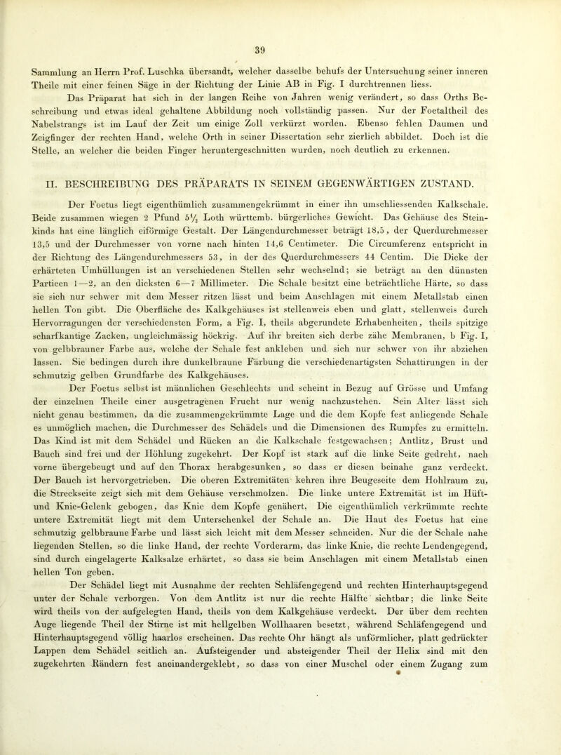 Sammlung an Herrn Prof. Luschka übersandt, welcher dasselbe behufs der Untersuchung seiner inneren Theile mit einer feinen Säge in der Richtung der Linie AB in Fig. I durchtrennen liess. Das Präparat hat sich in der langen Reihe von Jahren wenig verändert, so dass Orths Be- schreibung und etwas ideal gehaltene Abbildung noch vollständig passen. Nur der Foetaltheil des Nabelstrangs ist im Lauf der Zeit um einige Zoll verkürzt worden. Ebenso fehlen Daumen und Zeicrfincrer der rechten Hand, welche Orth in seiner Dissertation sehr zierlich abbildet. Doch ist die Stelle, an welcher die beiden Finger heruntergeschnitten wurden, noch deutlich zu erkennen. II. BESCHREIBUNG DES PRÄPARATS IN SEINEM GEGENWÄRTIGEN ZUSTAND. Der Foetus liegt eigentümlich zusammengekrümmt in einer ihn umschliessenden Kalkschale. Beide zusammen wiegen 2 Pfund ö1/^ Loth württemb. bürgerliches Gewicht. Das Gehäuse des Stein- kinds hat eine länglich eiförmige Gestalt. Der Längendurchmesser beträgt 18,5, der Querdurchmesser 13,5 und der Durchmesser von vorne nach hinten 14,6 Centimeter. Die Circumferenz entspricht in der Richtung des Längendurclunessers 53, in der des Querdurchmessers 44 Centim. Die Dicke der erhärteten Umhüllungen ist an verschiedenen Stellen sehr wechselnd; sie beträgt an den dünnsten Partieen 1—2, an den dicksten 6—7 Millimeter. Die Schale besitzt eine beträchtliche Härte, so dass sie sich nur schwer mit dem Messer ritzen lässt und beim Anschlägen mit einem Metallstab einen hellen Ton gibt. Die Oberfläche des Kalkgehäuses ist stellenweis eben und glatt, stellenweis durch Hervorragungen der verschiedensten Form, a Fig. I, theils abgerundete Erhabenheiten, tlieils spitzige scharfkantige Zacken, ungleichmässig höckrig. Auf ihr breiten sich derbe zähe Membranen, b Fig. I, von gelbbrauner Farbe aus, welche der Schale fest ankleben und sich nur schwer von ihr abziehen lassen. Sie bedingen durch ihre dunkelbraune Färbung die verschiedenartigsten Schattirungen in der schmutzig gelben Grundfarbe des Kalkgehäuses. Der Foetus selbst ist männlichen Geschlechts und scheint in Bezug auf Grösse und Umfang der einzelnen Theile einer ausgetragenen Frucht nur wenig nachzustehen. Sein Alter lässt sich nicht genau bestimmen, da die zusammengekrümmte Lage und die dem Kopfe fest anliegende Schale es unmöglich machen, die Durchmesser des Schädels und die Dimensionen des Rumpfes zu ermitteln. Das Kind ist mit dem Schädel und Rücken an die Kalkschale festgewachsen; Antlitz, Brust und Bauch sind frei und der Höhlung zugekehrt. Der Kopf ist stark auf die linke Seite gedreht, nach vorne übergebeugt und auf den Thorax herabgesunken, so dass er diesen beinahe ganz verdeckt. Der Bauch ist hervorgetrieben. Die oberen Extremitäten kehren ihre Beugeseite dem Hohlraum zu, die Streckseite zeigt sich mit dem Gehäuse verschmolzen. Die linke untere Extremität ist im Hüft- und Knie-Gelenk gebogen, das Knie dem Kopfe genähert. Die eigenthümlich verkrümmte rechte untere Extremität liegt mit dem Unterschenkel der Schale an. Die Haut des Foetus hat eine schmutzig gelbbraune Farbe und lässt sich leicht mit dem Messer schneiden. Nur die der Schale nahe liegenden Stellen, so die linke Hand, der rechte Vorderarm, das linke Knie, die rechte Lendengegend, sind durch eingelagerte Kalksalze erhärtet, so dass sie beim Anschlägen mit einem Metallstab einen hellen Ton geben. Der Schädel liegt mit Ausnahme der rechten Schläfengegend und rechten Hinterhauptsgegend unter der Schale verborgen. Von dem Antlitz ist nur die rechte Hälfte sichtbar; die linke Seite wird theils von der aufgelegten Hand, theils von dem Kalkgehäuse verdeckt. Der über dem rechten Auge liegende Theil der Stirne ist mit hellgelben Wollhaaren besetzt, während Schläfengegend und Hinterhauptsgegend völlig haarlos erscheinen. Das rechte Ohr hängt als unförmlicher, platt gedrückter Lappen dem Schädel seitlich an. Aufsteigender und absteigender Theil der Helix sind mit den zugekehrten Rändern fest aneinandergeklebt, so dass von einer Muschel oder einem Zugang zum