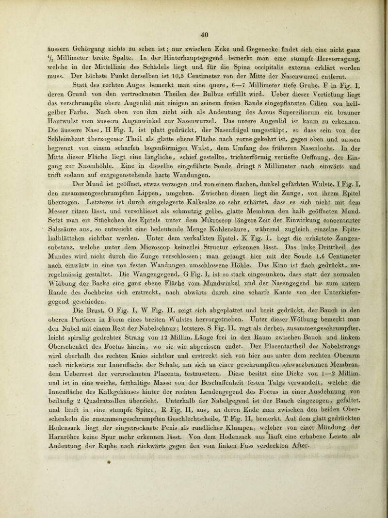 äussern Gehörgang nichts zu sehen ist; nur zwischen Ecke und Gegenecke findet sich eine nicht ganz i/2 Millimeter breite Spalte. In der Hinterhauptsgegend bemerkt man eine stumpfe Hervorragung, welche in der Mittellinie des Schädels liegt und für die Spina occipitalis externa erklärt werden muss. Der höchste Punkt derselben ist 10,5 Centimeter von der Mitte der Nasenwurzel entfernt. Statt des rechten Auges bemerkt man eine quere, 6—7 Millimeter tiefe Grube, F in Fig. I, deren Grund von den vertrockneten Theilen des Bulbus erfüllt wird. Ueber dieser Vertiefung1 lieo-t das verschrumpfte obere Augenlid mit einigen an seinem freien Rande eingepflanzten Cilien von hell- gelber Farbe. Nach oben von ihm zieht sich als Andeutung des Arcus Superciliorum ein brauner Hautwulst vom äussern Augenwinkel zur Nasenwurzel. Das untere Augenlid ist kaum zu erkennen. Die äussere Nase, H Fig. I, ist platt gedrückt, der Nasenflügel umgestülpt, so dass sein von der Schleimhaut überzogener Theil als glatte ebene Fläche nach vorne gekehrt ist, gegen oben und aussen begrenzt von einem scharfen bogenförmigen Wulst, dem Umfang des früheren Nasenlochs. In der Mitte dieser Fläche liegt eine längliche, schief gestellte, trichterförmig vertiefte OefFnung, der Ein- gang zur Nasenhöhle. Eine in dieselbe eingeführte Sonde dringt 8 Millimeter nach einwärts und trifft sodann auf entgegenstehende harte Wandungen. Der Mund ist geöffnet, etwas verzogen und von einem flachen, dunkel gefärbten Wulste, I Fig. I, den zusammengeschrumpften Lippen, umgeben. Zwischen diesen liegt die Zunge, von ihrem Epitel überzogen. Letzteres ist durch eingelagerte Kalksalze so sehr erhärtet, dass es sich nicht mit dem Messer ritzen lässt, und verschliesst als schmutzig gelbe, glatte Membran den halb geöffneten Mund. Setzt man ein Stückchen des Epitels unter dem Mikroscop längere Zeit der Einwirkung concentrirter Salzsäure aus, so entweicht eine bedeutende Menge Kohlensäure, während zugleich einzelne Epite- lialblättchen sichtbar werden. Unter dem verkalkten Epitel, Iv Fig. I, liegt die erhärtete Zungen- substanz, welche unter dem Microscop keinerlei Structur erkennen lässt. Das linke Dritttheil des Mundes wird nicht durch die Zunge verschlossen; man gelangt hier mit der Sonde 1,6 Centimeter nach einwärts in eine von festen Wandungen umschlossene Höhle. Das Kinn ist flach gedrückt, un- regelmässig gestaltet. Die Wangengegend, G Fig. I, ist so stark eingesunken, dass statt der normalen Wölbung der Backe eine ganz ebene Fläche vom Mundwinkel und der Nasengegend bis zum untern Rande des Jochbeins sich erstreckt, nach abwärts durch eine scharfe Kante von der Unterkiefer- gegend geschieden. Die Brust, O Fig. I, W Fig. II, zeigt sich abgeplattet und breit gedrückt, der Bauch in den oberen Partieen in Form eines breiten Wulstes hervorgetrieben. Unter dieser Wölbung bemerkt man den Nabel mit einem Rest der Nabelschnur; letztere, S Fig. II, ragt als derber, zusammengeschrumpfter, leicht spiralig gedrehter Strang von 12 MiHim. Länge frei in den Raum zwischen Bauch und linkem Oberschenkel des Foetus hinein, wo sie wie abgerissen endet. Der Placentartheil des Nabelstrangs wird oberhalb des rechten Knies sichtbar und erstreckt sich von hier aus unter dem rechten Oberarm nach rückwärts zur Innenfläche der Schale, um sich an einer geschrumpften schwarzbraunen Membran, dem Ueberrest der vertrockneten Placenta, festzusetzen. Diese besitzt eine Dicke von 1—2 Millirn. und ist in eine weiche, fetthaltige Masse von der Beschaffenheit festen Talgs verwandelt, welche die Innenfläche des Kalkgehäuses hinter der rechten Lendengegend des Foetus in einer Ausdehnung von beiläufig 2 Quadratzollen überzieht. Unterhalb der Nabelgegend ist der Bauch eingezogen, gefaltet, und läuft in eine stumpfe Spitze, R Fig. II, aus, an deren Ende man zwischen den beiden Ober- schenkeln die zusammengeschrumpften Geschlechtstheile, T Fig. II, bemerkt. Auf dem glatt gedrückten Hodensack liegt der eingetrocknete Penis als rundlicher Klumpen, welcher von einer Mündung der Harnröhre keine Spur mehr erkennen lässt. Von dem Hodensack aus läuft eine erhabene Leiste als Andeutung der Raphe nach rückwärts gegen den vom linken Fuss verdeckten After.
