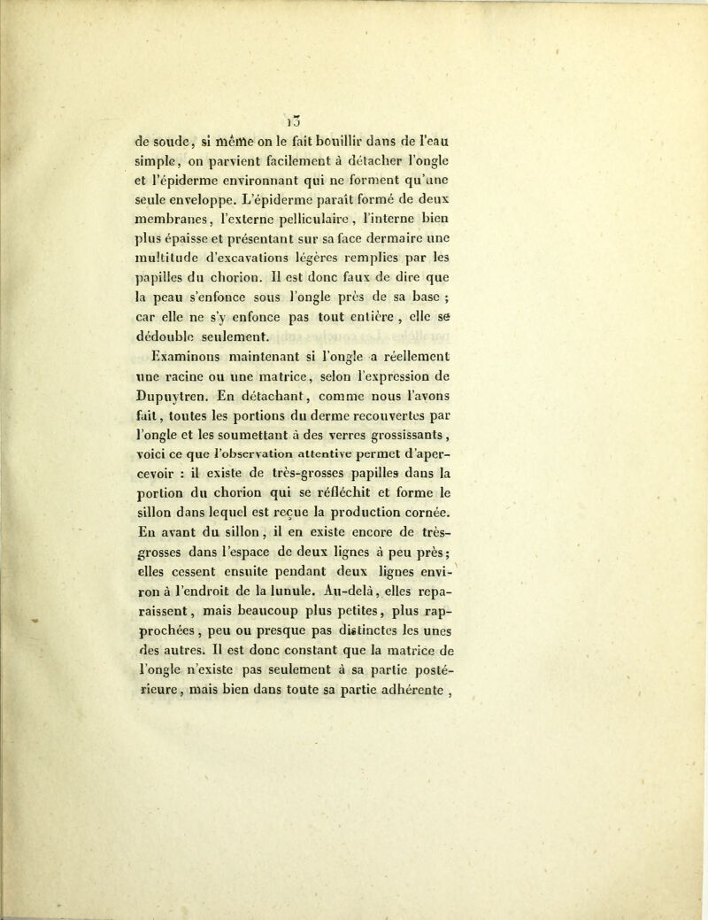 1 J de soude, si même on le fait bouillir dans de l’eau simple, on parvient facilement à détacher l’ongle et l’épiderme environnant qui ne forment qu’une seule enveloppe. L’épiderme paraît formé de deux membranes, l’externe pelliculaire , l’interne bien plus épaisse et présentant sur sa face dermaire une multitude d’excavations légères remplies par les papilles du chorion. Il est donc faux de dire que la peau s’enfonce sous l’ongle près de sa base ; car elle ne s’y enfonce pas tout entière , elle se dédouble seulement. Examinons maintenant si l’ongle a réellement une racine ou une matrice, selon l’expression de Dupuytren. En détachant, comme nous l’avons fait, toutes les portions du derme recouvertes par l’ongle et les soumettant à des verres grossissants, voici ce que l’observation attentive permet d’aper- cevoir : il existe de très-grosses papilles dans la portion du chorion qui se réfléchit et forme le sillon dans lequel est reçue la production cornée. Eu avant du sillon , il en existe encore de très- grosses dans l’espace de deux lignes à peu près; elles cessent ensuite pendant deux lignes envi- ron à l’endroit de la lunule. Au-delà, elles repa- raissent, mais beaucoup plus petites, plus rap- prochées , peu ou presque pas distinctes les unes des autres. Il est donc constant que la matrice de l’ongle n’existe pas seulement à sa partie posté- rieure, mais bien dans toute sa partie adhérente ,