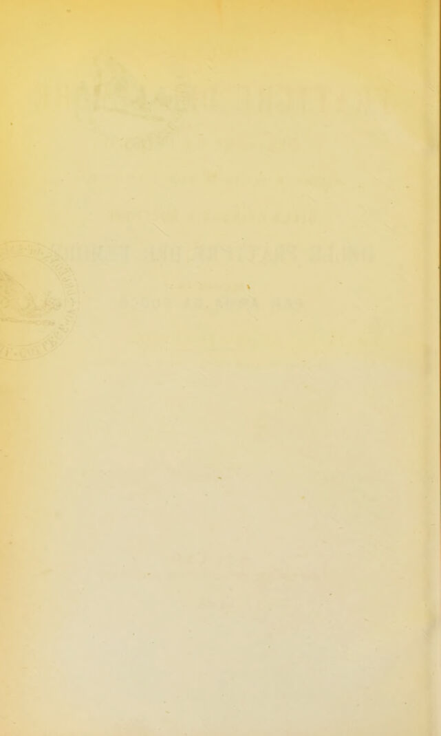 digitised image 2