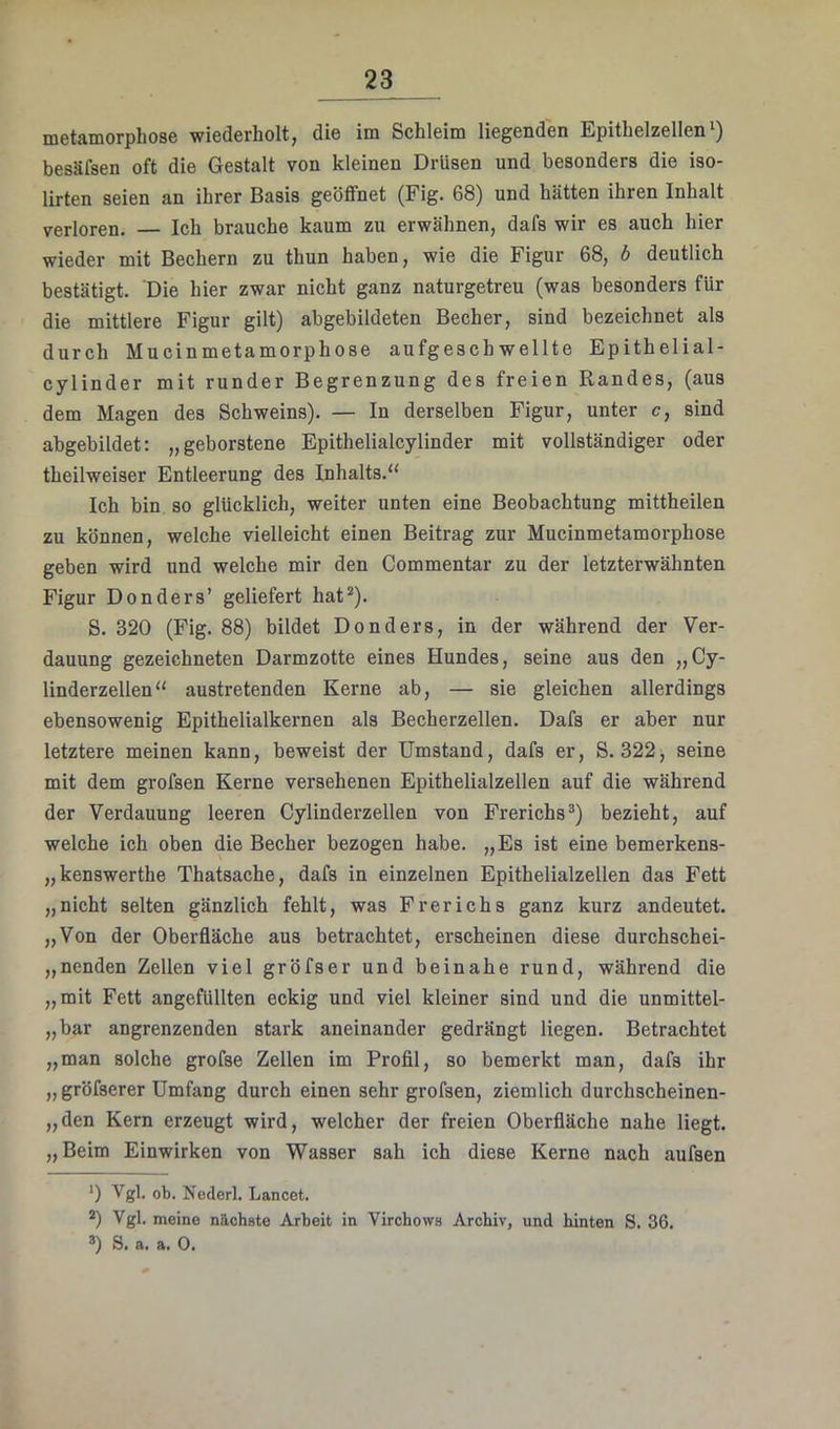 metainorphose wiederholt^ die iin Schleim liegenden Epithelzellen') besäfsen oft die Gestalt von kleinen Drüsen und besonders die iso- lirten seien an ihrer Basis geöffnet (Fig. 68) und hätten ihren Inhalt verloren. Ich brauche kaum zu erwähnen, dafs wir es auch hier wieder mit Bechern zu thun haben, wie die Figur 68, b deutlich bestätigt. Die hier zwar nicht ganz naturgetreu (was besonders für die mittlere Figur gilt) abgebildeten Becher, sind bezeichnet als durch Mucinmetamorphose aufgeschwellte Epithelial- cylinder mit runder Begrenzung des freien Randes, (aus dem Magen des Schweins). — In derselben Figur, unter c, sind abgebildet: „geborstene Epithelialcylinder mit vollständiger oder theilweiser Entleerung des Inhalts.“ Ich bin so glücklich, weiter unten eine Beobachtung mittheilen zu können, welche vielleicht einen Beitrag zur Mucinmetamorphose geben wird und welche mir den Commentar zu der letzterwähnten Figur Donders’ geliefert hat* *). S. 320 (Fig. 88) bildet Donders, in der während der Ver- dauung gezeichneten Darmzotte eines Hundes, seine aus den „Cy- linderzellen“ austretenden Kerne ab, — sie gleichen allerdings ebensowenig Epithelialkernen als Becherzellen. Dafs er aber nur letztere meinen kann, beweist der Umstand, dafs er, S. 322, seine mit dem grofsen Kerne versehenen Epithelialzellen auf die während der Verdauung leeren Cylinderzellen von Frerichs*) bezieht, auf welche ich oben die Becher bezogen habe. „Es ist eine bemerkens- „kenswerthe Thatsache, dafs in einzelnen Epithelialzellen das Fett „nicht selten gänzlich fehlt, was Frerichs ganz kurz andeutet. „Von der Oberfläche aus betrachtet, erscheinen diese durchschei- „nenden Zellen viel gröfser und beinahe rund, während die „mit Fett angefüllten eckig und viel kleiner sind und die unmittel- „bar angrenzenden stark aneinander gedrängt liegen. Betrachtet „man solche grofse Zellen im Profil, so bemerkt man, dafs ihr „ gröfserer Umfang durch einen sehr grofsen, ziemlich durchscheinen- „den Kern erzeugt wird, welcher der freien Oberfläche nahe liegt. „Beim Einwirken von Wasser sah ich diese Kerne nach aufsen *) Vgl. ob. Ncderl. Lancet. *) Vgl. meine nächste Arbeit in Virchows Archiv, und hinten S. 36. 3) S. a. a. 0.