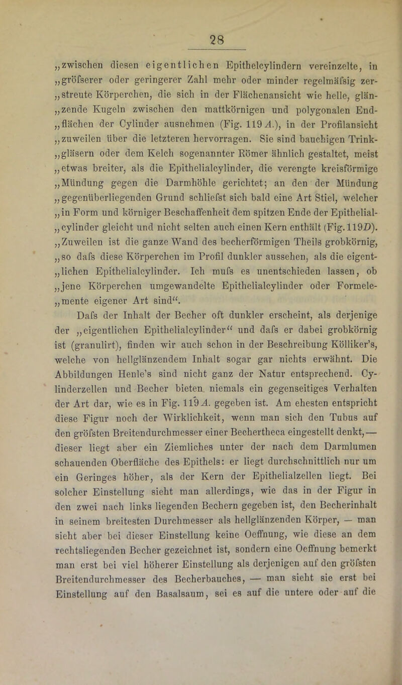 1 i 28 „zwischen diesen eigentlichen Epitheleylindern vereinzelte, in „gröfserer oder geringerer Zahl mehr oder minder regelmäfsig zer- „ streute Körperchen, die sich in der Flächenansicht wie helle, glän- „zende Kugeln zwischen den mattkörnigen und polygonalen End- „flächen der Cylinder ausnehmen (Fig. 119^1.), in der Profilansicht „zuweilen über die letzteren hervorragen. Sie sind bauchigen Trink- „ gläsern oder dem Kelch sogenannter Römer ähnlich gestaltet, meist „etwas breiter, als die Epithelialcylinder, die verengte kreisförmige „Mündung gegen die Darmhöhle gerichtet; an den der Mündung „ gegenüberliegenden Grund schliefst sich bald eine Art Stiel, welcher „in Form und körniger Beschaffenheit dem spitzen Ende der Epithelial- „ cylinder gleicht und nicht selten auch einen Kern enthält (Fig. 119-D). „Zuweilen ist die ganze Wand des becherförmigen Theils grobkörnig, „so dafs diese Körperchen im Profil dunkler aussehen, als die eigent- „lichen Epithelialcylinder. Ich mufs es unentschieden lassen, ob „jene Körperchen umgewandelte Epithelialcylinder oder Formele- „ mente eigener Art sind“. Dafs der Inhalt der Becher oft dunkler erscheint, als derjenige der „eigentlichen Epithelialcylinder“ und dafs er dabei grobkörnig ist (granulirt), finden wir auch schon in der Beschreibung Kölliker’s, welche von hellglänzendem Inhalt sogar gar nichts erwähnt. Die Abbildungen Henle’s sind nicht ganz der Natur entsprechend. Cy- linderzellen und Becher bieten, niemals ein gegenseitiges Verhalten der Art dar, wie es in Fig. 11*9 A. gegeben ist. Am ehesten entspricht diese Figur noch der Wirklichkeit, wenn man sich den Tubus auf den gröfsten Breitendurchmesser einer Bechertheca eingestellt denkt,— dieser liegt aber ein Ziemliches unter der nach dem Darmlumen schauenden Oberfläche des Epithels: er liegt durchschnittlich nur um ein Geringes höher, als der Kern der Epithelialzellen liegt. Bei solcher Einstellung sieht man allerdings, wie das in der Figur in den zwei nach links liegenden Bechern gegeben ist, den Becherinhalt in seinem breitesten Durchmesser als hellglänzenden Körper, — man sieht aber bei dieser Einstellung keine Oeffnung, wie diese an dem rechtsliegenden Becher gezeichnet ist, sondern eine OefiTnung bemerkt man erst bei viel höherer Einstellung als derjenigen auf den gröfsten Breitendurchmesser des Becherbauches, — man sieht sie erst bei Einstellung auf den Basalsaum, sei es auf die untere oder auf die