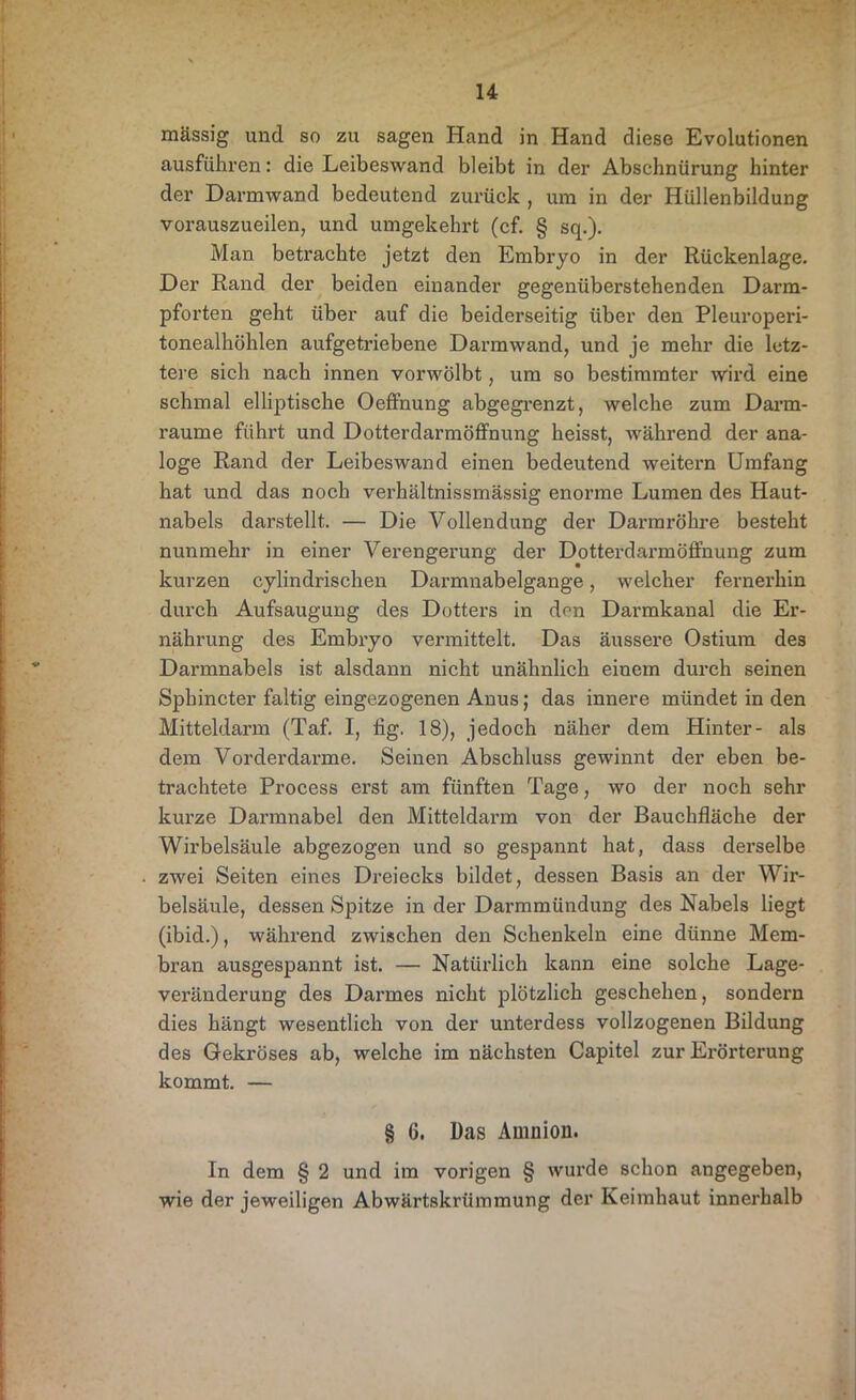massig und so zu sagen Hand in Hand diese Evolutionen ausführen: die Leibeswand bleibt in der Abschnürung hinter der Darmwand bedeutend zurück , um in der Hüllenbildung vorauszueilen, und umgekehrt (cf. § sq.). Man betrachte jetzt den Embryo in der Rückenlage. Der Rand der beiden einander gegenüberstehenden Darm- pforten geht über auf die beiderseitig über den Pleuroperi- tonealhöhlen aufgetriebene Darmwand, und je mehr die letz- tere sich nach innen vorwölbt, um so bestimmter wird eine schmal elliptische Oeffnung abgegrenzt, welche zum Darm- raume führt und Dotterdarmöffnung heisst, während der ana- loge Rand der Leibeswand einen bedeutend weitern Umfang hat und das noch verhältnissmässig enorme Lumen des Haut- nabels darstellt. — Die Vollendung der Darmröhre besteht nunmehr in einer Verengerung der Dotterd arm Öffnung zum kurzen cylindrischen Darmnabelgange, welcher fernerhin durch Aufsaugung des Dotters in den Darmkanal die Er- nährung des Embryo vermittelt. Das äussere Ostium des Darmnabels ist alsdann nicht unähnlich einem durch seinen Spbincter faltig eingezogenen Anus; das innere mündet in den Mitteldarm (Taf. I, fig. 18), jedoch näher dem Hinter- als dem Vorderdarme. Seinen Abschluss gewinnt der eben be- trachtete Process erst am fünften Tage, wo der noch sehr kurze Darmnabel den Mitteldarm von der Bauchfläche der Wirbelsäule abgezogen und so gespannt hat, dass derselbe zwei Seiten eines Dreiecks bildet, dessen Basis an der Wir- belsäule, dessen Spitze in der Darmmündung des Nabels liegt (ibid.), während zwischen den Schenkeln eine dünne Mem- bran ausgespannt ist. — Natürlich kann eine solche Lage- veränderung des Darmes nicht plötzlich geschehen, sondern dies hängt wesentlich von der unterdess vollzogenen Bildung des Gekröses ab, welche im nächsten Capitel zur Erörterung kommt. — § 6. Das Amnion. In dem § 2 und im vorigen § wurde schon angegeben, wie der jeweiligen Abwärtskrümmung der Keimhaut innerhalb