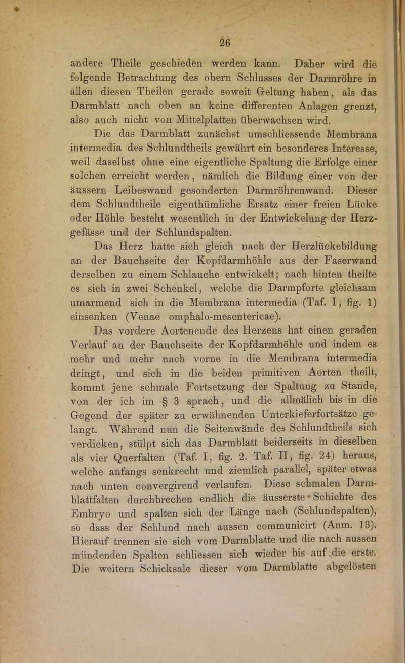 andere Theile geschieden werden kann. Daher wird die folgende Betrachtung des obern Schlusses der Darmröhre in allen diesen Theilen gerade soweit Geltung haben, als das Darmblatt nach oben an keine differenten Anlagen grenzt, also auch nicht von Mittelplatten überwachsen wird. Die das Darmblatt zunächst umschliessenae Membrana intermedia des Schlundtheils gewährt ein besonderes Interesse, weil daselbst ohne eine eigentliche Spaltung die Erfolge einer solchen erreicht werden, nämlich die Bildung einer von der äussern Leibeswand gesonderten Darmröhrenwand. Dieser dem Schlundtheile eigenthümliche Ersatz einer freien Lücke oder Höhle besteht wesentlich in der Entwickelung der Herz- gefässe und der Schlundspalten. Das Herz hatte sich gleich nach der Herzlückebildung an der Bauchseite der Kopfdarmhöhle aus der Faserwand derselben zu einem Schlauche entwickelt; nach hinten theilte es sich in zwei Schenkel, welche die Darmpforte gleichsam umarmend sich in die Membrana intermedia (Taf. Ij fig. 1) einsenken (Venae omphalo-mesentericae). Das vordere Aortenende des Herzens hat einen geraden Verlauf an der Bauchseite der Kopfdarmhöhle und indem es mehr und mehr nach vorne in die Membrana intermedia dringt, und sich in die beiden primitiven Aorten theilt, kommt jene schmale Fortsetzung der Spaltung zu Stande, von der ich im § 3 sprach, und die allmälich bis in die Gegend der später zu erwähnenden Unterkieferfortsätze ge- langt. Während nun die Seitenwände des Schlundtheils sich verdicken, stülpt sich das Darmblatt beiderseits in dieselben als vier Querfalten (Taf. I, fig. 2. Taf. II, fig. 24) heraus, welche anfangs senkrecht und ziemlich parallel, später etwas nach unten convergirend verlaufen. Diese schmalen Dai’m- blattfalten durchbrechen endlich die äusserste * Schichte des Embryo und spalten sich der Länge nach (Schlundspalten), so dass der Schlund nach aussen communicirt (Anm. 13). Hierauf trennen sie sich vom Darmblatte und die nach aussen mündenden Spalten schliessen sich wieder bis auf die erste. Die weitern Schicksale dieser vom Darmblatte abgelösten