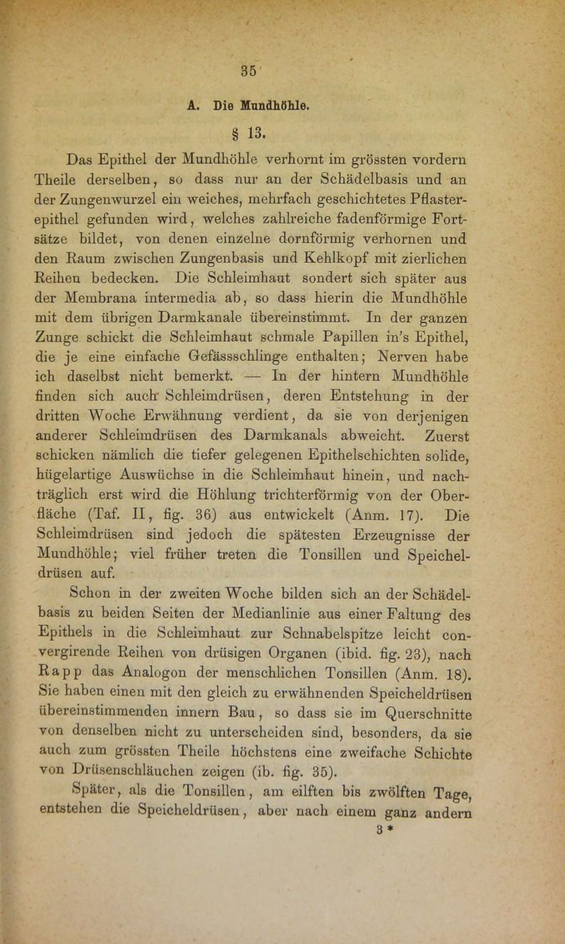 A. Die Mundhöhle. § 13. Das Epithel der Mundhöhle verhornt im grössten vordem Theile derselben, so dass nur an der Schädelbasis und an der Zungenwurzel ein weiches, mehrfach geschichtetes Pflaster- epithel gefunden wird, welches zahlreiche fadenförmige Fort- sätze bildet, von denen einzelne dornförmig verhornen und den Kaum zwischen Zungenbasis und Kehlkopf mit zierlichen Reihen bedecken. Die Schleimhaut sondert sich später aus der Membrana intermedia ab, so dass hierin die Mundhöhle mit dem übrigen Darmkanale übereinstimmt. In der ganzen Zunge schickt die Schleimhaut schmale Papillen in’s Epithel, die je eine einfache Grefässschlinge enthalten; Nerven habe ich daselbst nicht bemerkt. — In der hintern Mundhöhle finden sich auch: Schleimdrüsen, deren Entstehung in der dritten Woche Erwähnung verdient, da sie von derjenigen anderer Schleimdrüsen des Darmkanals abweicht. Zuerst schicken nämlich die tiefer gelegenen Epithelschichten solide, hügelartige Auswüchse in die Schleimhaut hinein, und nach- träglich erst wird die Höhlung trichterförmig von der Ober- fläche (Taf. II, fig. 36) aus entwickelt (Anm. 17). Die Schleimdrüsen sind jedoch die spätesten Erzeugnisse der Mundhöhle; viel früher treten die Tonsillen und Speichel- drüsen auf. Schon in der zweiten Woche bilden sich an der Schädel- basis zu beiden Seiten der Medianlinie aus einer Faltung des Epithels in die Schleimhaut zur Schnabelspitze leicht con- vergirende Reihen von drüsigen Organen (ibid. fig. 23), nach Rapp das Analogon der menschlichen Tonsillen (Anm. 18). Sie haben einen mit den gleich zu erwähnenden Speicheldrüsen übereinstimmenden innern Bau, so dass sie im Querschnitte von denselben nicht zu unterscheiden sind, besonders, da sie auch zum grössten Theile höchstens eine zweifache Schichte von Drüsenschläuchen zeigen (ib. fig. 35). Später, als die Tonsillen, am eilften bis zwölften Tage, entstehen die Speicheldrüsen, aber nach einem ganz andern 3 *