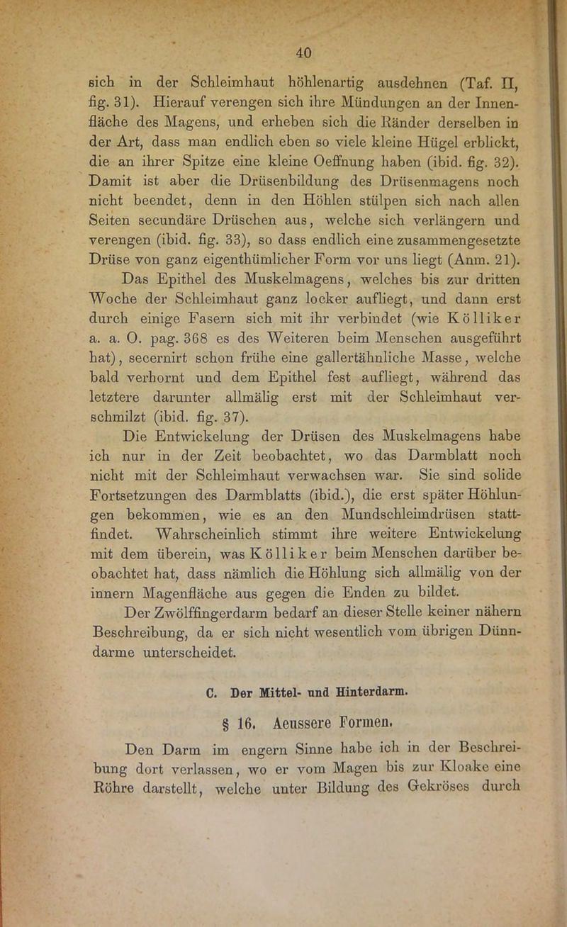 sich in der Schleimhaut höhlenartig ausdehnen (Taf. II, fig. 31). Hierauf verengen sich ihre Mündungen an der Innen- fläche des Magens, und erheben sich die Ränder derselben in der Art, dass man endlich eben so viele kleine Hügel erblickt, die an ihrer Spitze eine kleine Oeffnung haben (ibid. fig. 32). Damit ist aber die Drüsenbildung des Drüsenmagens noch nicht beendet, denn in den Höhlen stülpen sich nach allen Seiten secundäre Drüschen aus, welche sich verlängern und verengen (ibid. fig. 33), so dass endlich eine zusammengesetzte Drüse von ganz eigenthümlicher Form vor uns liegt (Anra. 21). Das Epithel des Muskelmagens, welches bis zur dritten Woche der Schleimhaut ganz locker aufliegt, und dann erst durch einige Fasern sich mit ihr verbindet (wie K ö 11 i k e r a. a. O. pag. 368 es des Weiteren beim Menschen ausgeführt hat), secernirt schon frühe eine gallertähnliche Masse, welche bald verhornt und dem Epithel fest aufliegt, während das letztere darunter allmälig erst mit der Schleimhaut ver- schmilzt (ibid. fig. 37). Die Entwickelung der Drüsen des Muskelmagens habe ich nur in der Zeit beobachtet, wo das Darmblatt noch nicht mit der Schleimhaut verwachsen war. Sie sind solide Fortsetzungen des Darmblatts (ibid.), die erst später Höhlun- gen bekommen, wie es an den Mundschleimdrüsen statt- findet. Wahrscheinlich stimmt ihre weitere Entwickelung mit dem überein, was Kolli ker beim Menschen darüber be- obachtet hat, dass nämlich die Höhlung sich allmälig von der innern Magenfläche aus gegen die Enden zu bildet. Der Zwölffingerdarm bedarf an dieser Stelle keiner nähern Beschreibung, da er sich nicht wesentlich vom übrigen Dünn- därme unterscheidet. C. Der Mittel- und Hinterdarm. § 16. Aeussere Formen. Den Darm im engern Sinne habe ich in der Beschrei- bung dort verlassen, wo er vom Magen bis zur Kloake eine Röhre darstellt, welche unter Bildung des Gekröses durch