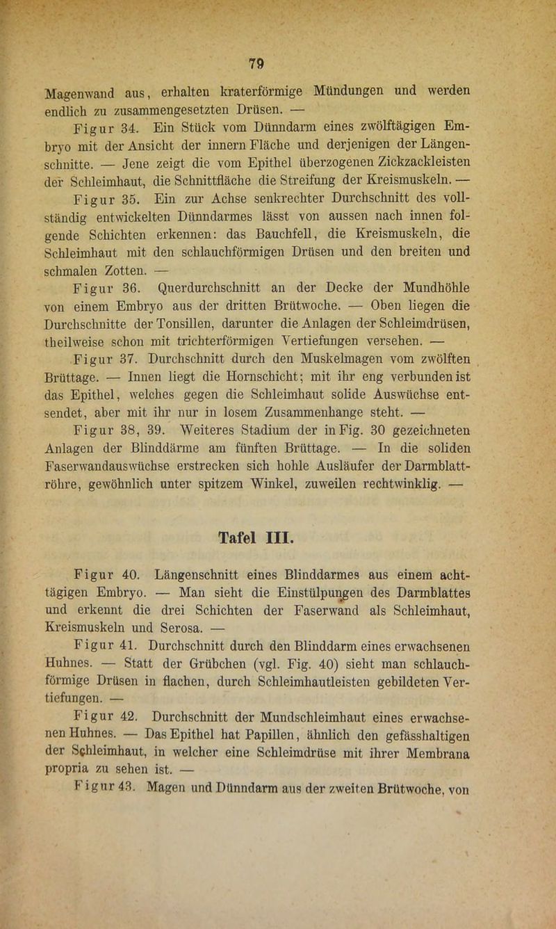 Magenwand aus, erhalten kraterförmige Mündungen und werden endlich zu zusammengesetzten Drüsen. — Figur 34. Ein Stück vom Dünndarm eines zwölftägigen Em- bryo mit der Ansicht der innern Fläche und derjenigen der Längen- schnitte. — Jene zeigt die vom Epithel überzogenen Zickzackleisten der Schleimhaut, die Schnittfläche die Streifung der Kreismuskeln. — Figur 35. Ein zur Achse senkrechter Durchschnitt des voll- ständig entwickelten Dünndarmes lässt von aussen nach innen fol- gende Schichten erkennen: das Bauchfell, die Kreismuskeln, die Schleimhaut mit den schlauchförmigen Drüsen und den breiten und schmalen Zotten. — Figur 36. Querdurchschnitt an der Decke der Mundhöhle von einem Embryo aus der dritten Brütwoche. — Oben liegen die Durchschnitte der Tonsillen, darunter die Anlagen der Schleimdrüsen, theilweise schon mit trichterförmigen Vertiefungen versehen. — Figur 37. Durchschnitt durch den Muskelmagen vom zwölften Brüttage. — Innen liegt die Hornschicht; mit ihr eng verbunden ist das Epithel, welches gegen die Schleimhaut solide Auswüchse ent- sendet, aber mit ihr nur in losem Zusammenhänge steht, — Figur 38, 39. Weiteres Stadium der inFig. 30 gezeichneten Anlagen der Blinddärme am fünften Brüttage. — In die soliden Faserwandauswüchse erstrecken sich hohle Ausläufer der Darmblatt- röhre, gewöhnlich unter spitzem Winkel, zuweilen rechtwinklig. — Tafel III. Figur 40. Längenschnitt eines Blinddarmes aus einem acht- tägigen Embryo. — Man sieht die Einstülpungen des Darmblattes und erkennt die drei Schichten der Faserwand als Schleimhaut, Kreismuskeln und Serosa. — Figur 41. Durchschnitt durch den Blinddarm eines erwachsenen Huhnes. — Statt der Grübchen (vgl. Fig. 40) sieht man schlauch- förmige Drüsen in flachen, durch Schleimhautleisten gebildeten Ver- tiefungen. — Figur 42. Durchschnitt der Mundschleimhaut eines erwachse- nen Huhnes. — Das Epithel hat Papillen, ähnlich den gefässhaltigen der Schleimhaut, in welcher eine Schleimdrüse mit ihrer Membrana propria zu sehen ist. — Figur 43. Magen und Dünndarm aus der zweiten Brütwoche, von