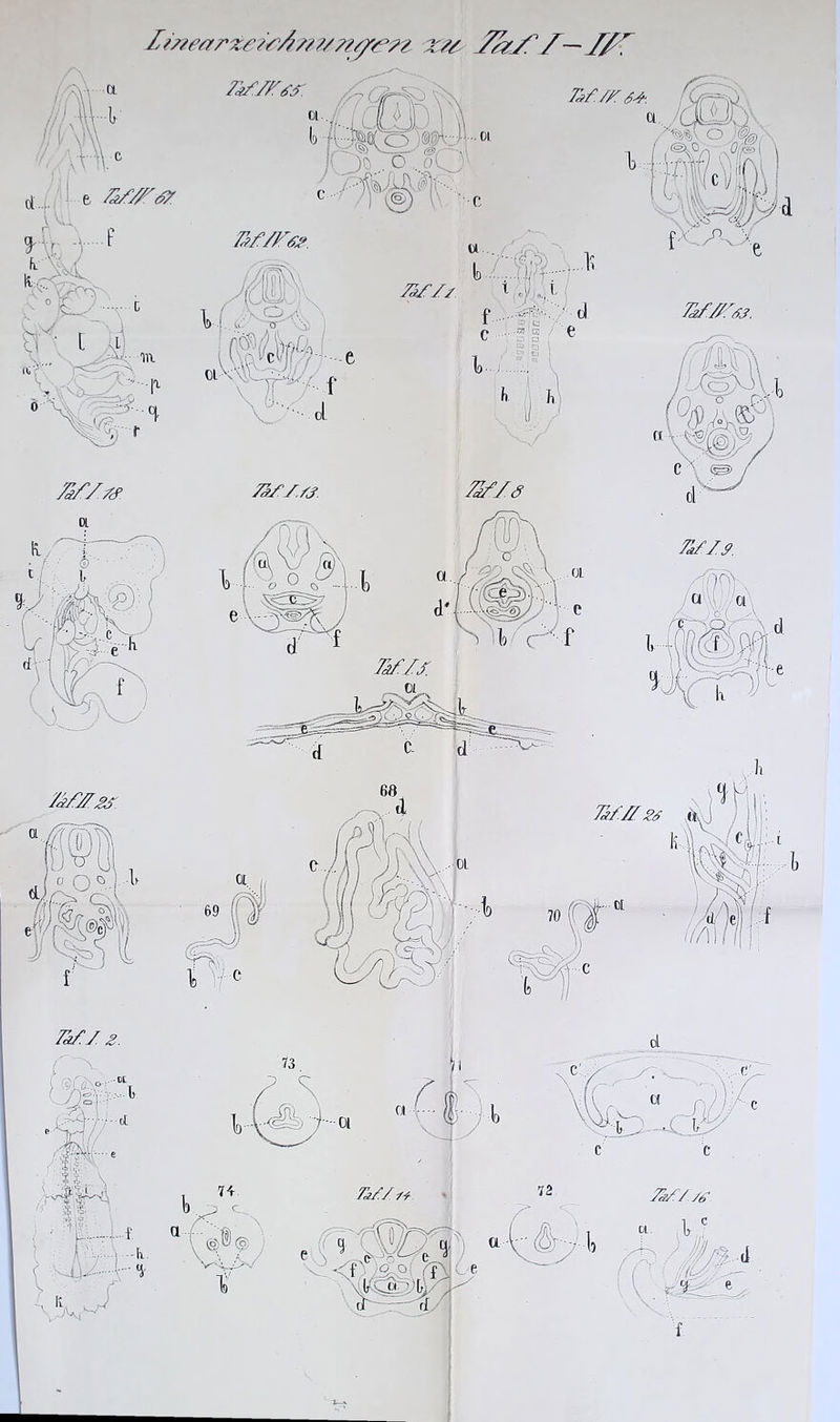 ZmearzeizÄ/??/ K/fzu zu Zs///— Z/r ru/z/z ru./zs*. t ZZ/Zf? Zf/Zs/ TU// t j.ji f SäTtK ' d /kf/Zss. zrz/f Dl ZZZf TU/.s. Täf/./j. Zf//SS ru/ 2.