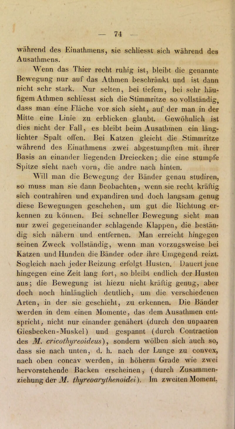 I — 74 — während des Einathinens, sie schliesst sich während des Ausathmens. Wenn das Thier recht ruhig ist, bleibt die genannte Bewegung nur auf das Athmen beschränkt und ist dann nicht sehr stark. Nur selten, bei tiefem, bei sehr häu- figem Athmen schliesst sich die Stimmritze so vollständig, dass man eine Fläche vor sich sieht, auf der man in der Mitte eine Linie zu erblicken glaubt. Gewöhnlich ist dies nicht der Fall, es bleibt beim Ausatbmen ein läng- lichter Spalt offen. Bei Katzen gleicht die Stimmritze während des Einathmens zwei abgestumpften mit ihrer Basis an einander liegenden Dreiecken; die eine stumpfe Spitze sieht nach vorn, die andre nach hinten. Will man die Bewegung der Bänder genau studiren, so muss man sie dann beobachten, wenn sie recht kräftig sich contrahiren und expandiren und doch langsam genug diese Bewegungen geschehen, um gut die Richtung er- kennen zu können. Bei schneller Bewegung sieht man nur zwei gegeneinander schlagende Klappen, die bestän- dig sich nähern und entfernen. Man erreicht hingegen seinen Zweck vollständig, wenn man vorzugsweise bei Katzen und Hunden die Bänder oder ihre Umgegend reizt. Sogleich nach jeder Reizung erfolgt Husten. Dauert jene hingegen eine Zeit lang fort, so bleibt endlich der Husten aus; die Bewegung ist hiezu nicht kräftig genug, aber doch noch hinlänglich deutlich, um die verschiedenen Arten, in der sie geschieht, zu erkennen. Die Bänder werden in dem einen Momente, das dem Ausathmen ent- spricht, nicht nur einander genähert (durch den unpaaren Giesbecken-Muskel) und gespannt (durch Contraction des M. cricothyreoideus), sondern wölben sich auch so, dass sie nach unten, d. h. nach der Lunge zu convex, nach oben concav werden, in höherm Grade wie zwei hervorstehende Backen erscheinen, (durch Zusammen- ziehung der M. ihyreoarythenoidei). Im zweiten Moment.