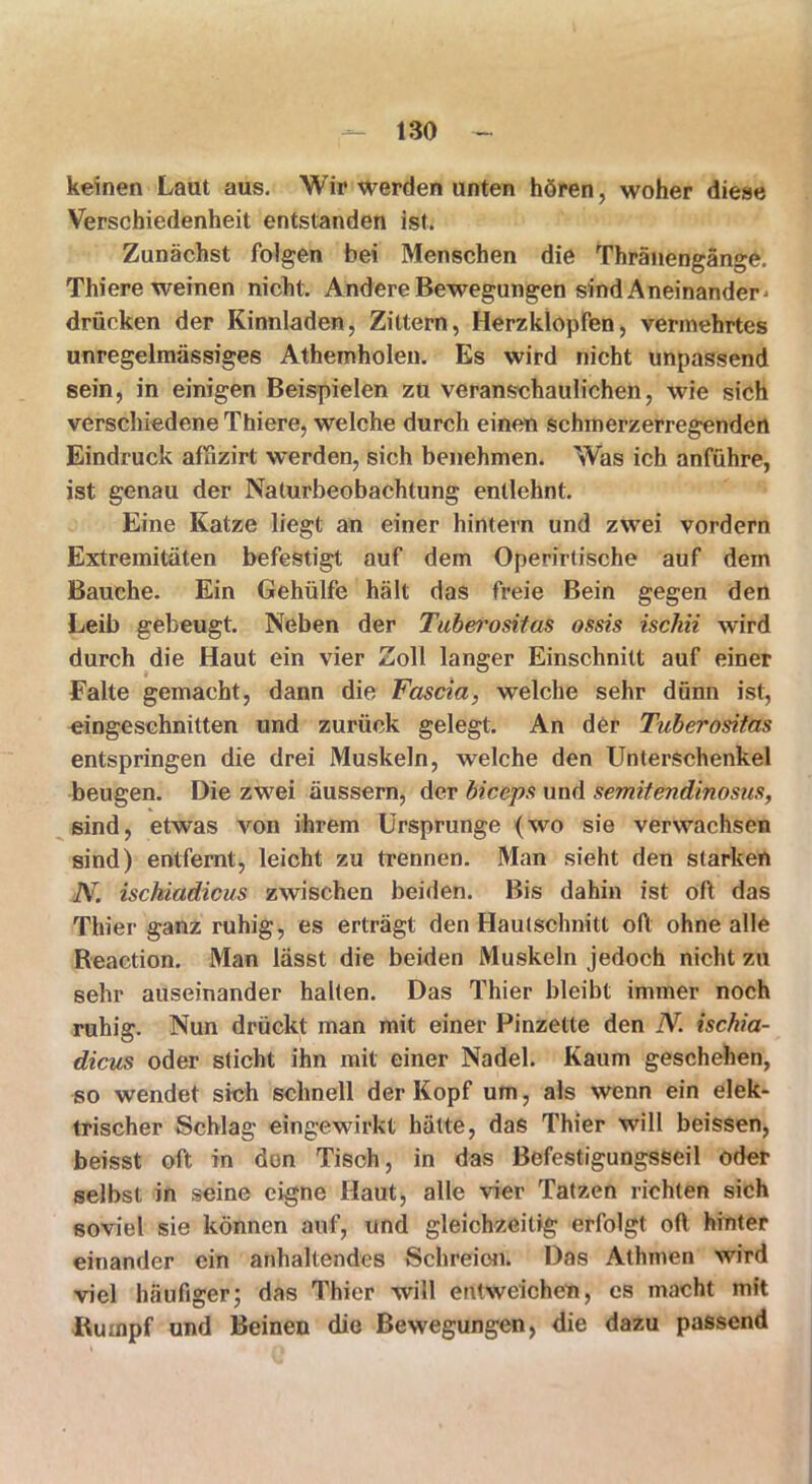 keinen Laut aus. Wir werden unten hören, woher diese Verschiedenheit entstanden ist. Zunächst folgen bei Menschen die Thränengänge. Thiere weinen nicht. Andere Bewegungen sind Aneinander < drücken der Kinnladen, Zittern, Herzklopfen, vermehrtes unregelmässiges Athemholen. Es wird nicht unpassend sein, in einigen Beispielen zu veranschaulichen, wie sich verschiedene Thiere, welche durch einen schmerzerregenden Eindruck affizirt ^werden, sich benehmen. Was ich anführe, ist genau der Naturbeobachtung entlehnt. Eine Katze liegt an einer hintern und zwei vordem Extremitäten befestigt auf dem Operirtische auf dem Bauche. Ein Gehülfe hält das freie Bein gegen den Leib gebeugt. Neben der Tuberositas ossis ischii wird durch die Haut ein vier Zoll langer Einschnitt auf einer Falte gemacht, dann die Fascia, welche sehr dünn ist, eingeschnitten und zurück gelegt. An der Tuberositas entspringen die drei Muskeln, welche den Unterschenkel beugen. Die zwei äussern, der biceps und semitendinosus, sind, etwas von ihrem Ursprünge (wo sie verwachsen sind) entfernt, leicht zu trennen. Man sieht den starken N. ischiadicus zwischen beiden. Bis dahin ist oft das Thier ganz ruhig, es erträgt den Hautschnitt oft ohne alle Reaetion. Man lässt die beiden Muskeln jedoch nicht zu sehr auseinander halten. Das Thier bleibt immer noch ruhig. Nun drückt man mit einer Pinzette den N. ischia- dicus oder sticht ihn mit einer Nadel. Kaum geschehen, so wendet sich schnell der Kopf um, als wenn ein elek- trischer Schlag eingewirkt hätte, das Thier will beissen, beisst oft in don Tisch, in das Befestigungsseil oder selbst in seine eigne Haut, alle vier Tatzen richten sich soviel sie können auf, und gleichzeitig erfolgt oft hinter einander ein anhaltendes Schreien. Das Alhmen wird viel häufiger; das Thier will entweichen, es macht mit Rumpf und Beinen die Bewegungen, die dazu passend