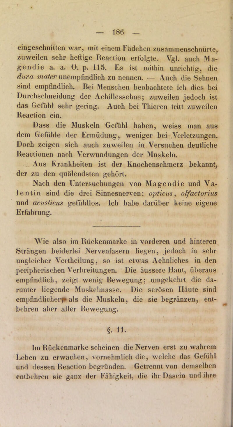 ) 186 eingeschnitten war, mit einem Fädchen zusammenschnürte, zuweilen sehr heftige Reaction erfolgte. Vgl. auch Ma- gendie a. a. 0. p. 115. Es ist mithin unrichtig, die dura mater unempfindlich zu nennen. — Auch die Sehnen sind empfindlich. Bei Menschen beobachtete ich dies bei Durchschneidung der Achillessehne; zuweilen jedoch ist das Gefühl sehr gering. Auch bei Thieren tritt zuweilen Reaction ein. Dass die Muskeln Gefühl haben, weiss man aus dem Gefühle der Ermüdung, weniger bei Verletzungen. Doch zeigen sich auch zuweilen in Versuchen deutliche Reactionen nach Verwundungen der Muskeln. Aus Krankheiten ist der Knochenschmerz bekannt, der zu den quälendsten gehört. Nach den Untersuchungen von Magendie und Va- lentin sind die drei Sinnesnerven: opticus, olfactorius und acusticus gefühllos. Ich habe darüber keine eigene Erfahrung. Wie also im Rückenmarke in vorderen und hinteren Strängen beiderlei Nervenfasern liegen, jedoch in sehr ungleicher Vertheilung, so ist etwas Aehnliches in den peripherischen Verbreitungen. Die äussere Haut, überaus empfindlich, zeigt wenig Bewegung; umgekehrt die da- runter liegende Muskelmasse. Die serösen Häute sind empfindlicher^ als die Muskeln, die sie begränzen, ent- behren aber aller Bewegung. §. 11. Im Rückenmarke scheinen die Nerven erst zu wahrem Leben zu erwachen, vornehmlich die, welche das Gefühl und dessen Reaction begründen. Getrennt von demselben entbehren sie ganz der Fähigkeit, die ihr Dasein und ihre