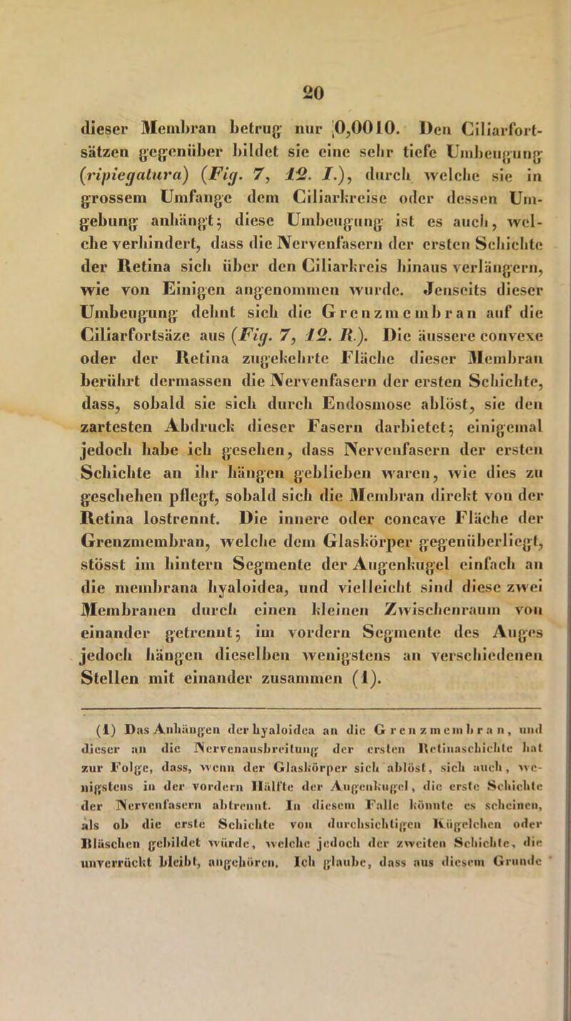 dieser Membran betrug nur ^0,0010. Den Ciliarfort- sätzen gegenüber bildet sie eine sehr tiefe Umbcugung (ripiegatura) (Fig. 7, 12. /.), durch welche sie in grossem Umfange dem Ciliarhrcise oder dessen Um- gehung- anhängt} diese Umbeugung ist es auch, wel- che verhindert, dass die Nervenfasern der ersten Schichte der Retina sich über den Ciliarkreis hinaus verlängern, wie von Einigen angenommen wurde. «Jenseits dieser Umbeugung dehnt sich die Grenzmcmhran auf die Ciliarfortsäzc aus {Fig. 7, 12. Jk). Die äussere convexe oder der Retina zugekehrte Fläche dieser Membran berührt dermassen die Nervenfasern der ersten Schichte, dass, sobald sie sich durch Endosmose ablöst, sie den zartesten Abdruck dieser Fasern darbietet} einigemal jedoch habe ich gesehen, dass Nervenfasern der ersten Schichte an ihr hängen geblieben waren, wie dies zu geschehen pflegt, sobald sich die Membran direkt von der Retina lostrennt. Die innere oder concave Fläche der Grenzmembran, welche dem Glaskörper gegenüberliegt, stösst im hintern Segmente der Augenkugel einfach an die meinbrana hyaloidea, und vielleicht sind diese zwei Membranen durch einen kleinen Zwischenraum von einander getrennt} im vordem Segmente des Auges jedoch hängen dieselben wenigstens an verschiedenen Stellen mit einander zusammen (1). (1) Das Anhängen der hyaloidea an die Grenzmcmhran, und dieser an die Ncrvcnausbreilung der ersten Rctinaschichle hat zur Folge, «lass, wenn der Glaskörper sich ablöst, sich auch, we- nigstens in der vordem Hälfte der Augenkugcl, die erste Schichte der Nervenfasern abtrennt. In diesem Falle könnte es scheinen, als ob die erste Schichte von durchsichtigen Kügelchen oder Itläschcn gebildet würde, welche jedoch «1er zweiten Schichte, die unverrückt lilcibt, angeboren. Ich glaube, dass aus diesem Gruiiilc