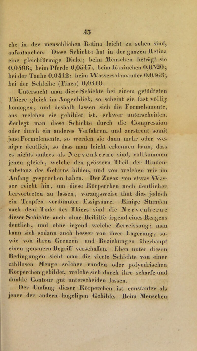 clie in der menschlichen Retina leicht zu sehen sind, aufzutauchen. Diese Seliiclitc hat in der ganzen Retina eine gleichförmige Diekc; heim Mensehen beträgt sie 0,0496; heim Pferde 0,0517; heirn Kaninchen 0,0520; hei der Tauhe 0,0412; heim Wassersalamander 0,0565; hei der Schleihe (Tinea) 0,0418. Untersucht man diese Schichte hei einem getödtetcu Tliiere gleich im Augenblick, so scheint sie fast völlig homogen, und deshalb lassen sich die Formcleincnlc, aus welchen sie gebildet ist, schwer unterscheiden. Zerlegt mau diese Schichte durch die Comprcssion oder durch ein anderes Verfahren, und zerstreut somit jene Formelemente, so werden sie dann mehr oder we- niger deutlich, so dass man leicht erkennen kann, dass es nichts andres als Nervenkerne sind, vollkommen jenen gleich, welche den grossem Theil der Rinden- substanz des Gehirns bilden, und von welchen wir im Anfang gesprochen haben. Der Zusaz von etwas Was- ser reicht hin, um diese Körperchen noch deutlicher hervorlreten zu lassen, vorzugsweise timt dies jedoch ein Tropfen verdünnter Essigsäure. Einige Stunden nach dem Tode des Thiers sind die Nervenkerne dieser Schichte auch ohne Reihilfe irgend eines Reagens deutlich, und ohne irgend welche Zcrreissung; mau kann sich sodann auch besser von ihrer Lagerung, so- wie von ihren Grenzen und Beziehungen überhaupt einen genauem Begriff verschaffen. Ehen unter diesen Bedingungen sieht mau die vierte Schichte von einer zahllosen Menge solcher runden oder polyedrischeu Körperchen gebildet, welche sich durch ihre scharfe und dunkle Gontour gut unterscheiden lassen. Der Umfang dieser Körperchen ist constantcr als jener der andern kugeligen Gebilde. Beim Menschen