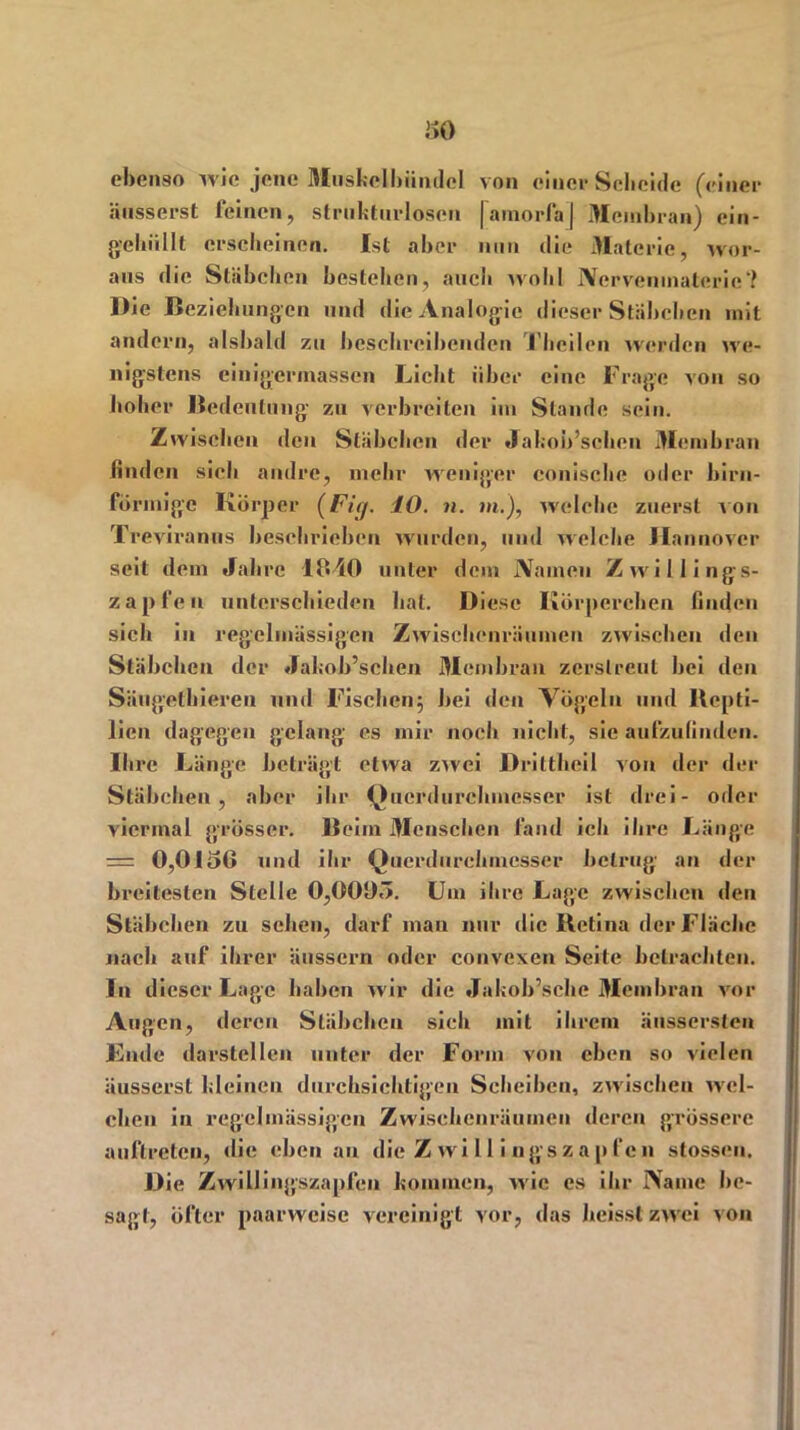 r>o ebenso wie jene Muskelbiindel von einer Scheide (einer äusserst feinen, strukturlosen |amorfa| Membran) ein- gchiillt erscheinen. Ist aber nun die Materie, wor- aus die Stäbchen bestehen, auch wohl Nervenmaterie‘1 Die Beziehungen und die Analogie dieser Stäbchen mit andern, alsbald zu beschreibenden Thcilen werden we- nigstens cinigermassen Dicht über eine Frage von so hoher Bedeutung zu verbreiten iin Stande sein. Zwischen den Stäbchen der JakoiYschen Membran linden sich andre, mehr weniger conisclie oder bim- förmige Körper (Fi(j. 10. n. m.), welche zuerst von Treviranus beschrieben wurden, und welche Hannover seit dein Jahre 1840 unter dem Namen Zwillings- zapfen unterschieden hat. Diese Körperchen finden sich in regelmässigen Zwischenräumen zwischen den Stäbchen der Jakob’schen Membran zerstreut bei den Säugethieren und Fischen; bei den Vögeln und Repti- lien dagegen gelang es mir noch nicht, sie aufzulinden. Ihre Länge beträgt etwa zwei Driftheil von der der Stäbchen, aber ihr Querdurchmesser ist drei- oder viermal grösser. Beim Menschen fand ich ihre Länge = 0,0156 und ihr Querdurchmesser betrug an der breitesten Stelle 0,0005. Um ihre Lage zwischen den Stäbchen zu sehen, darf man nur die Retina der Fläche nach auf ihrer äussern oder convexen Seite betrachten. In d ieser Lage haben wir die Jakob’sche Membran vor Augen, deren Stäbchen sich mit ihrem änssersten Ende darstellen unter der Form von eben so vielen äusserst kleinen durchsichtigen Scheiben, zwischen wel- chen in regelmässigen Zwischenräumen deren grössere auftreten, die eben an die Z wi 11 i ngs z a p fe n stossen. Die Zwillingszapfen kommen, wie es ihr Name be- sagt, öfter paarweise vereinigt vor, das heisst zwei von