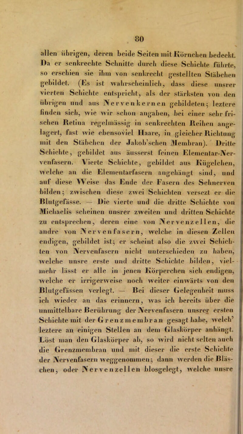 allen übrigen, deren beide Seiten mit Körnchen bedeckt. Da er senkrechte Schnitte durch diese Schichte führte, so erschien sie ihm von senkrecht gestellten Stäbchen gebildet. (Es ist wahrscheinlich, dass diese unsrer vierten Schichte entspricht, als der stärksten von den übrigen und aus Nerven kernen gebildeten 5 leztere linden sich, wie wir schon angaben, hei einer sehr fri- schen Retina regelmässig in senkrechten Reihen ange- lagert, fast wie ebensoviel Haare, in gleicher Richtung mit den Stäbchen der Jakob’schen Membran). Dritte Schichte, gebildet aus äusserst feinen Elemcnlar-Ner- venfasern. Vierte Schichte, gebildet aus Kügelchen, welche an die Elementarfasern angehängt sind, und aul diese Weise das Ende der Fasern des Sehnerven bilden; zwischen diese zwei Schichten versezt er die Rlutgefässe. — Die vierte und die dritte Schichte von Michaelis scheinen unsrer zweiten und dritten Schichte zu entsprechen, deren eine von Nervenzellen, die andre von Nervenfasern, welche in diesen Zellen endigen, gebildet ist; er scheint also die zwei Schich- ten von Nervenfasern nicht unterschieden zu haben, welche unsre erste und dritte Schichte bilden, viel- mehr lässt er alle in jenen Körperchen sich endigen, welche er irrigerweise noch weiter einwärts von den Blutgefässen verlegt. — Bei dieser Gelegenheit muss ich wieder an das erinnern, was ich bereits über die unmittelbare Berührung- der Nervenfasern unsrer ersten Schichte mit der Grenz m e m b r a n gesagt habe, welch’ leztere an einigen Stellen an dein Glaskörper anhängt. Lost man den Glaskörper ah, so wird nicht selten auch die Grenzmembran und mit dieser die erste Schichte der Nervenfasern weggenommen; dann werden die Bläs- chen, oder Nervenzellen biosgelegt, welche unsre