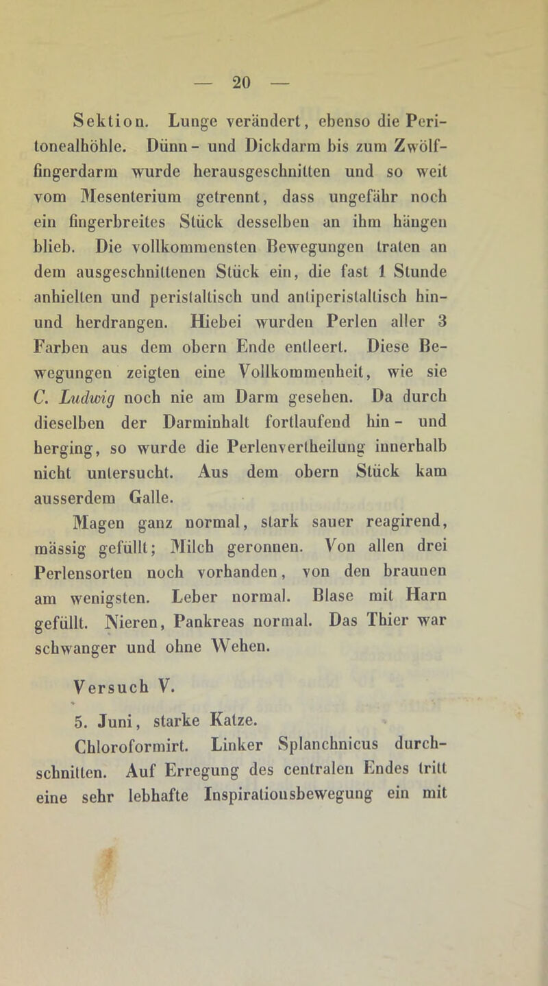 Sektion. Lunge verändert, ebenso die Peri- tonealhöhle. Dünn- und Dickdarm bis zum Zwölf- fingerdarm wurde herausgeschnitten und so weit vom Mesenterium getrennt, dass ungefähr noch ein fingerbreites Stück desselben an ihm hängen blieb. Die vollkommensten Bewegungen traten an dem ausgeschnittenen Stück ein, die fast 1 Stunde anhiellen und perislaltisch und antiperistaltisch hin- und herdrangen. Hiebei wurden Perlen aller 3 Farben aus dem obern Ende entleert. Diese Be- wegungen zeigten eine Vollkommenheit, wie sie C. Ludwig noch nie am Darm gesehen. Da durch dieselben der Darminhalt fortlaufend hin - und herging, so wurde die Perlenverlheilung innerhalb nicht untersucht. Aus dem obern Stück kam ausserdem Galle. Magen ganz normal, stark sauer reagirend, mässig gefüllt; Milch geronnen. Von allen drei Perlensorten noch vorhanden, von den braunen am wenigsten. Leber normal. Blase mit Harn gefüllt. Nieren, Pankreas normal. Das Thier war schwanger und ohne Wehen. Versuch V. 5. Juni, starke Katze. Chloroformirt. Linker Splanchnicus durch- schnitten. Auf Erregung des centralen Endes tritt eine sehr lebhafte Inspiralionsbewegung ein mit