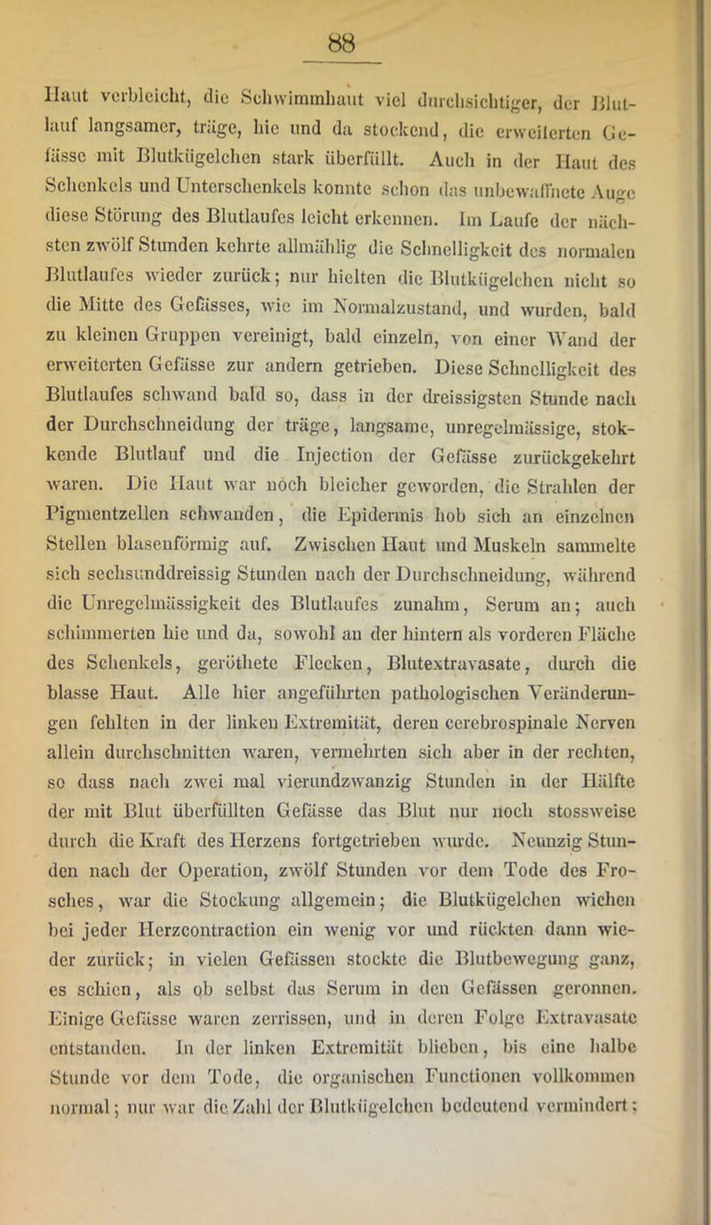«8 Haut verbleicht, die Schwimmhaut viel durchsichtiger, der Jllut- liUif langsamer^ träge, hie und da stockend, die erwcilerten Cc- fässc mit Blutkiigelclien stark überfüllt. Auch in der Haut des Schenkels und Unterschenkels konnte schon das unbewalfncte Aijo-c diese Störung des Blutlaufcs leicht erkennen. Im Laufe der näch- sten zwölf Stunden kehrte allmählig die Schnelligkeit des normalen Blutlaufcs wieder zurück; nur hielten die Blutkügelchcn nicht so die Mitte des GeGisses, wie im Normalzustand, und wurden, bald zu kleinen Gruppen vereinigt, bald einzeln, von einer Wand der erweiterten Gefässe zur andern getrieben. Diese Schnelligkeit des Blutlaufes schwand bald so, dass in der dreissigsten Stunde nach der Durchschneidung der träge, langsame, unregelmässige, stok- kende Blutlauf und die Injection der Gefässe zurückgekehrt Avaren. Die Haut Avar noch bleicher gCAvorden, die Strahlen der Pigmentzellcn schAvanden, die Epidermis hob sich an einzelnen Stellen blasenförmig auf. Zwischen Haut und Muskeln sammelte sich sechsunddreissig Stunden nach der Durchschneidung, während die Unregelmässigkeit des Blutlaufes zunahm, Serum an; auch schimmerten hie und da, sowohl an der hintern als vorderen Fläche des Schenkels, geröthetc Flecken, BlutextraA^asate, durch die blasse Haut. Alle hier angefühiten pathologischen Veränderun- gen fehlten in der linken Extremität, deren ccrebrospinale Nerven allein durchschnitten Avaren, vermehrten sich aber in der rechten, so dass nach zAvei mal vierundzwanzig Stunden in der Hälfte der mit Blut überfüllten Gefässe das Blut nur noch stossAveise durch die Kraft des Herzens fortgetrieben Avurdc. Neunzig Stun- den nach der Operation, zAvölf Stunden vor dem Tode des Fro- sches , war die Stockung allgemein; die Blutkügelchen wichen bei jeder Herzcontraction ein wenig vor und rückten dann wie- der zurück; in vielen Gefässen stockte die BlutbcAvegung ganz, es schien, als ob selbst das Serum in den Gelassen geronnen. Einige Gefässe waren zerrissen, und in deren Folge Extravasate entstanden. ln der linken Extremität blieben, bis eine halbe Stunde vor dem Tode, die organischen Functionen vollkommen normal; nur Avar die Zahl der Blutkügelchcn bedeutend vermindert;