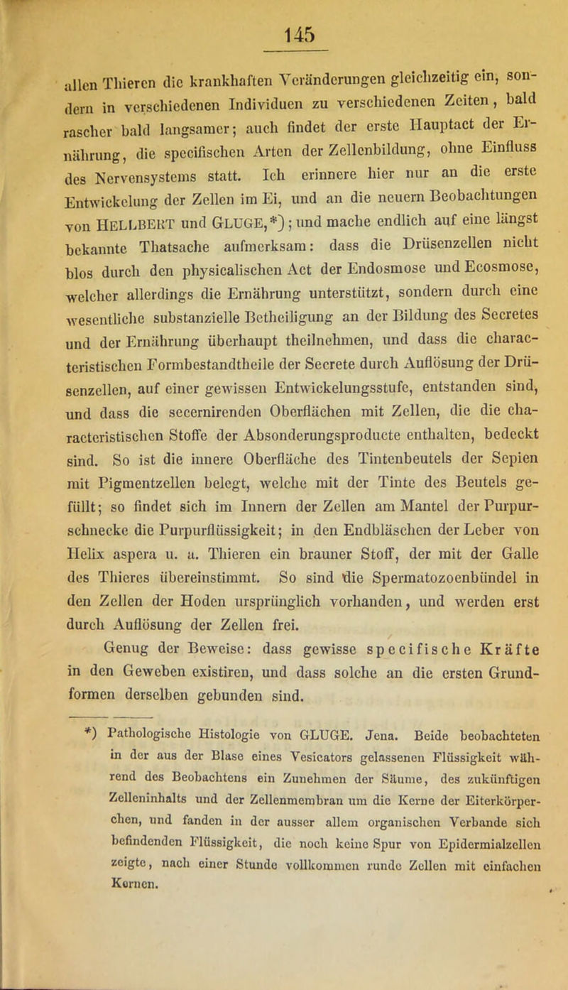 allen Tliiercn die krankhaften Veränderungen gleichzeitig ein, son- dern in verschiedenen Individuen zu verschiedenen Zeiten, bald rascher bald langsamer; auch findet der erste Hauptact der Ei- nährung, die spccifischen Arten der Zellcnbildung, ohne Einfluss des Nervensystems statt. Ich erinnere hier nur an die erste Entwickelung der Zellen im Ei, und an die neuern Beobachtungen von HelLBEKT und GluGE,*} ; und mache endlich auf eine längst bekannte Thatsache aufmerksam: dass die Drüsenzellen nicht blos durch den physicalischen Act der Endosmose und Ecosmose, welcher allerdings die Ernährung unterstützt, sondern durch eine Avescntliche substanzielle Betheiligung an der Bildung des Secretes und der Ernährung überhaupt theilnehmen, und dass die charac- teristischen Formbestandtheile der Secrete durch Auflösung der Drü- senzcllen, auf einer gewissen Entwickelungsstufe, entstanden sind, und dass die secernirenden Oberflächen mit Zellen, die die cha- racteristischen Stoffe der Absonderungsproducte enthalten, bedeckt sind. So ist die innere Oberfläche des Tintenbeutels der Sepien mit Pigmentzellen belegt, welche mit der Tinte des Beutels ge- füllt; so findet sich im Innern der Zellen am Mantel der Purpur- schnecke die Purpurflüssigkeit; in den Endbläschen der Leber von Helix aspera u. a. Thieren ein brauner Stoff, der mit der Galle des Thieres übereinstimmt. So sind die Spermatozoenbündel in den Zellen der Hoden ursprünglich vorhanden, und werden erst durch Auflösung der Zellen frei. Genug der Beweise: dass gewisse specifische Kräfte in den Geweben existiren, und dass solche an die ersten Grund- formen derselben gebunden sind. *) Pathologische Histologie von GLUGE. Jena. Beide beobachteten in der aus der Blase eines Vesicators gelassenen Flüssigkeit wäh- rend des Beohachtens ein Zunehmen der Säume, des zukünftigen Zelleninhalts und der Zellenmemhran um die Kerne der Eiterkörper- chen, und fanden in der ausser allem organischen Verbände sich befindenden Flüssigkeit, die noch keine Spur von Epidcrmialzcllcn zeigte, nach einer Stunde vollkommen runde Zellen mit einfachen Kernen.