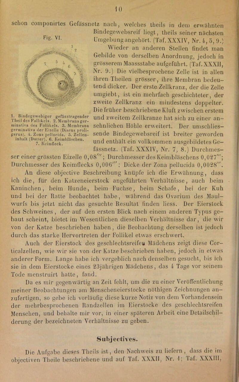 schon componirles Gcfilssnctz nach, welches iheils in dem erwälinlen Oindegewebsreif liegt, ilieils seiner niichslen Umgebungangel)ört. (Taf. XXXIV, Nr. 4, 5, 9.) Wieder an anderen Stellen findet tnan Gebilde von derselben Anordnung, jedoch in grösserem Maassstabe aufgeführt, (Taf.XXXll, Nr. 9.) Die Vielbesprochene Zelle ist in allen ihren Theilen grösser, ihre Membran bedeu- tend dicker. Der erste Zellkranz, der die Zelle umgiebt, ist ein n)ehrfach geschichteter, der zweite Zellkranz ein mindestens doppelter. Die früher beschriebene Kluft zwischen erstem und zweitem Zellkranze hat sich zu einer an- sehnlichen Höhle erweitert. Der unischlies- sende Bindegew'ebsreif ist breiter gevvorden und enthält ein vollkommen ausgebildeles Ge- fässnetz. (Taf. XXXIV, Nr. 7, 8.) Durchmes- ser einer grössten Eizelle 0,08^''; Durchmesser des KeindDläschens 0,027'; Durchmesser des KeimOecks 0,006'; Dicke der Zona pellucida 0,0028'. An diese objective Beschreibung knüpfe ich die Erwähnung, dass ich die, für den Katzeneierstock angeführten Verhältnisse, auch beim Kaninchen, beim Hunde, beim Fuchse, beim Schafe, bei der Kuh und bei der Ratte beobachtet habe, während das Ovarium des Maul- wurfs bis jetzt nicht das gesuchte Resultat finden Hess. Der Eierslock des Schweines, der auf den ersten Blick nach einem anderen Typus ge- baut scheint, bietet im Wesentlichen dieselben Verhältnisse dar, die wir von der Katze beschrieben haben, die Beobachtung derselben ist jedoch durch das starke Hervortreten der Follikel etwas erschwert. Auch der Eierstock des geschlechlsreifeu Mädchens zeigt diese Cor- ticalzellen, wie wir sie von der Katze beschrieben haben, jedoch in etwas anderer Form. Lange habe ich vergeblich nach denselben gesucht, bis ich sie in dem Eierstocke eines 23jährigen Mädchens, das 4 Tage vor seinem Tode menslruirt hatte, fand. Da es mir gegenwärtig an Zeit fehlt, um die zu einer VeröfTentlichung meiner Beobachtungen am Menscheneierslocke nöthigen Zeichnungen an- zufeiTigen, so gebe ich vorläufig diese kurze Notiz von dem Vorhandensein der mehrbesprochenen Randzellen im Eierstocke des geschlechtsreifen Menschen, und behalte mir vor, in einer späteren Arbeit eine Detailscliil- derung der bezeichnelen Verhältnisse zu geben. Siibjeetives. Die Aufgabe dieses Theils ist, den Nachweis zu liefern , dass die im objcctiven Theilc beschriebene und auf J'af. XXXII, Nr. I: Jaf. XXXIll, Fig. VI. 1. Bindeprewebiger gerässlragender Theil des Pullikels. 2. Menibranu ger- miuHliva des Follikels. .3. Membrana germiüaliva der Uizelle (Diseus proli- gerus). 4. Zuna pellucida. .5. Zellen- inliall (Doller). 6. KeimklUscheD. 7. Keiiiifleck.