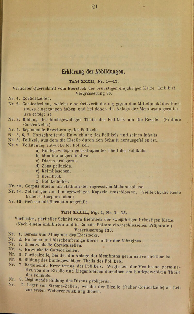 Erklärang der Abbildungen. Tafel XXXII, Nr. 1—12. Verticaler Querschnitt vom Eierstock der brünstigen einjährigen Katze. Imbibirt. Vergrösserung 80. Nr. 1. Corticalzellen. Nr. 2. Corticalzellen, welche eine Ortsveränderung gegen den Mittelpunkt des Eier- stocks eingegangen haben und bei denen die Anlage der Membrana germina- tiva erfolgt ist. Nr. 3. Bildung des bindegewebigen Theils des Follikels um die Eizelle. (Frühere Corticalzelle.) Nr. 4. Beginnende Erweiterung des Follikels. Nr. 5, 6, 7. Fortschreitende Entwicklung des Follikels und seines Inhalts. Nr. 8. Follikel, aus dem die Eizelle durch den Schnitt herausgefallen ist. Nr. 9. Vollständig entwickelter Follikel. a) Bindegewebiger gefässtragender Theil des Follikels. b) Membrana germinativa. c) Discus proligerus. d) Zona pellucida. e) Keimbläschen. f) Keimfleck. x) Follikelhöhle. Nr. 10. Corpus luteum im Stadium der regressiven Metamorphose. Nr. 11. Zellenlager von bindegewebigen Kapseln umschlossen, (Vielleicht die Reste früherer Corpora lutea.) Nr. 12. Gefässe mit Haematin angefüllt. Tafel XXXm, Fig. 1, Nr. 1—15. Verticajer, partieller Schnitt vom Eierstock der zweijährigen brünstigen Katze. (Nach einem imbibirten und in Canada-Balsam eingeschlossenen Präparate.) Vergrösserung 220. Nr. 1. Serosa und Albuginea des Eierstocks. Nr. 2. Einfache und bläschenförmige Kerne unter der Albuginea, Nr. 3. Unentwickelte Corticalzellen, Nr. 4, Entwickelte Corticalzellen. Nr. 5. Corticalzelle, bei der die Anlage der Membrana germinativa sichtbar ist. Nr. 6. Bildung des bindegewebigen Theils des Follikels. Nr. 7. Beginnende Erweiterung des Follikels. Wegtreten der Membrana germina- tiva von der Eizelle und Liegenbleiben derselben am bindegewebigen Theilo des Follikels. Nr. 8. Beginnende Bildung des Discus proligerus. Nr. 9. Lager von Stroma-Zellen, welche der Eizelle (früher Corticalzelle) als Bell zur ersten Weiterentwicklung dienen.