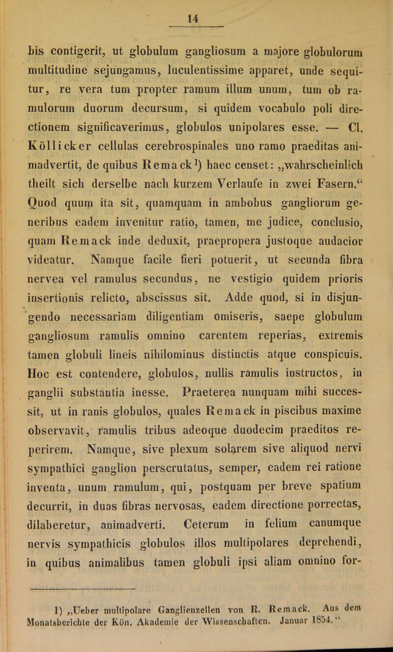 bis contigerit, ut globulum gangliosum a majore globulorum multitudine sejungamus, luculentissime apparet, unde sequi- tur, re vera tum propter ramum illum unum, tum ob ra- mulorum duorum decursum, si quidem vocabulo poli dire- ctionem significaverimus, globulos unipolares esse. — Cl. Kollicker cellulas cerebrospinales uno ramo praeditas ani- madvertit, de quibus Remack^) haec censet: „wahrscheinlich tlieilt sicli derselbe nacli kurzem Verlaufe in zwei Fasern.“ Quod quuip ita sit, quamquam in ambobus gangliorum ge- neribus eadem invenitur ratio, tamen, me judice, conclusio, quam Remack inde deduxit, praepropera justoque audacior videatur. Namque facile fieri potuerit, ut secunda fibra nervea vel ramulus secundus, ne vestigio quidem prioris insertionis relicto, abscissus sit. Adde quod, si in disjun- 'gendo necessariam diligentiam omiseris, saepe globulum gangliosum ramulis omnino carentem reperias, extremis tamen globuli lineis nihilominus distinctis atque conspicuis. Hoc est contendere, globulos, nullis ramulis instructos, in ganglii substantia inesse. Praeterea nunquam mihi succes- sit, ut in ranis globulos, quales Remack in piscibus maxime observavit, ramulis tribus adeoque duodecim praeditos re- perirem. Namque, sive plexum solarem sive aliquod nervi sympathici ganglion perscrutatus, semper, eadem rei ratione inventa, unum ramulum, qui, postquam per hreve spatium decurrit, in duas fibras nervosas, eadem directione porrectas, dilaberetur, animadverti. Ceterum in felium canumque nervis sympathicis globulos illos multipolares deprehendi, in quibus animalibus tamen globuli ipsi aliam omnino for- 1) ,,Ueber multipolare Gangllcnzellen von R. Remack. Aus dem Monatsbcriclite der Koii. Akademie der Wissenscbaflcn. Januar lb54. “