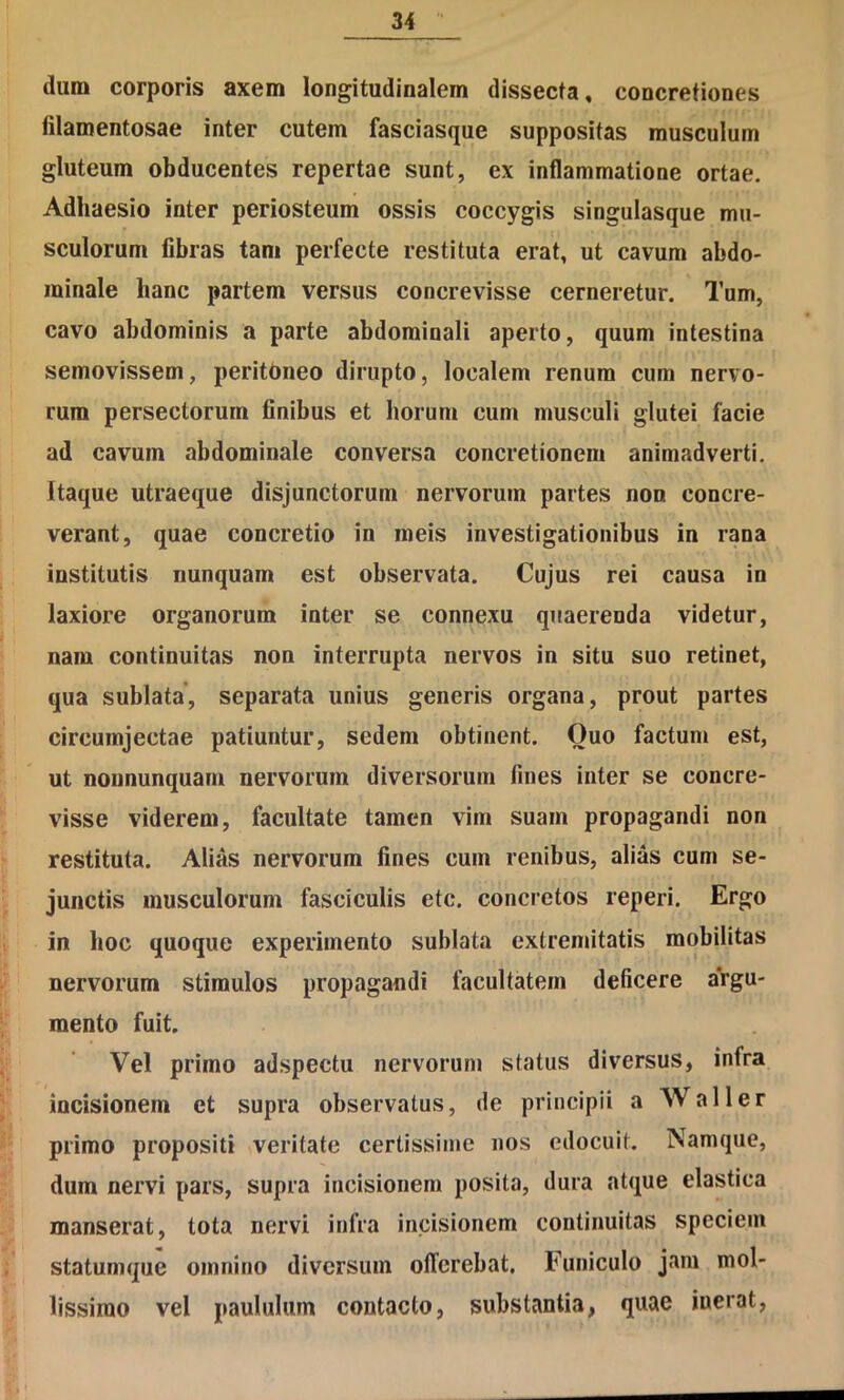 dum corporis axem longitudinalem dissecta, concretiones filamentosae inter cutem fasciasque suppositas musculum gluteum obducentes repertae sunt, ex inflammatione ortae. Adhaesio inter periosteum ossis coccygis singulasque mu- sculorum fibras tam perfecte restituta erat, ut cavum abdo- minale hanc partem versus concrevisse cerneretur. Tum, cavo abdominis a parte abdominali aperto, quum intestina semovissem, peritbneo dirupto, localem renum cum nervo- rum persectorum finibus et horum cum musculi glutei facie ad cavum abdominale conversa concretionem animadverti. Itaque utraeque disjunctorum nervorum partes non concre- verant, quae concretio in meis investigationibus in rana institutis nunquam est observata. Cujus rei causa in laxiore organorum inter se connexu quaerenda videtur, nam continuitas non interrupta nervos in situ suo retinet, qua sublata, separata unius generis organa, prout partes circumjectae patiuntur, sedem obtinent. Quo factum est, ut noiinunquani nervorum diversorum fines inter se concre- visse viderem, facultate tamen vim suam propagandi non restituta. Alias nervorum fines cum renibus, alias cum se- junctis musculorum fasciculis etc. concretos reperi. Ergo in hoc quoque experimento sublata extremitatis mobilitas nervorum stimulos propagandi facultatem deficere argu- mento fuit. Vel primo adspectu nervorum status diversus, infra incisionem et supra observatus, de principii a Wall er primo propositi veritate certissime nos edocuit. Namque, dum nervi pars, supra incisionem posita, dura atque elastica manserat, tota nervi infra incisionem continuitas speciem statumque omnino diversum offerebat. Funiculo jam mol- lissimo vel paululum contacto, substantia, quae inerat.