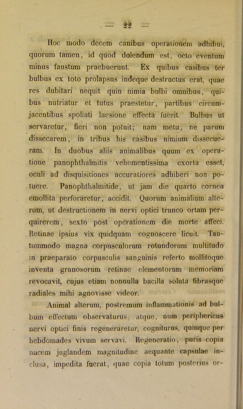 Hoc modo decem canibus operationem adhibui, quorum tamen, id quod dolendum est, octo eventum minus faustum praebuerunt. Ex quibus casibus ter bulbus ex toto prolapsus indeque destructus erat, quae res dubitari nequit quin nimia bulbi omnibus, qui- bus nutriatur et tutus praestetur, partibus circum- jacentibus spoliati laesione effecta fuerit. Bulbus ut servaretur, fieri non potuit; nam metu, ne parum dissecarem, in tribus his casibus nimium dissecue- ram. In duobus aliis animalibus quum ex opera- tione panophthalmitis vehementissima exorta esset, oculi ad disquisitiones accuratiores adhiberi non po- tuere. Panophthalmitide, ut jam die quarto cornea emollita perforaretur, accidit. Quorum animalium alte- rum, ut destructionem in nervi optici trunco ortam per- quirerem , sexto post operationem die morte affeci. Retinae ipsius vix quidquam cognoscere licuit. Tan- tummodo magna corpusculorum rotundorum multitudo in praeparato corpusculis sanguinis referto mollitoque inventa granosorum retinae elementorum memoriam revocavit, cujus etiam nonnulla bacilla soluta fibrasque radiales mihi agnovisse videor. Animal alterum, postremum inflammationis ad bul- bum effectum observaturus, atque, num periphericus nervi optici finis regeneraretur, cogniturus, quinque per hebdomades vivum servavi. Regeneratio, puris copia nucem juglandem magnitudine aequante capsulae in- clusa, impedita fuerat, quae copia lotum posterius or-