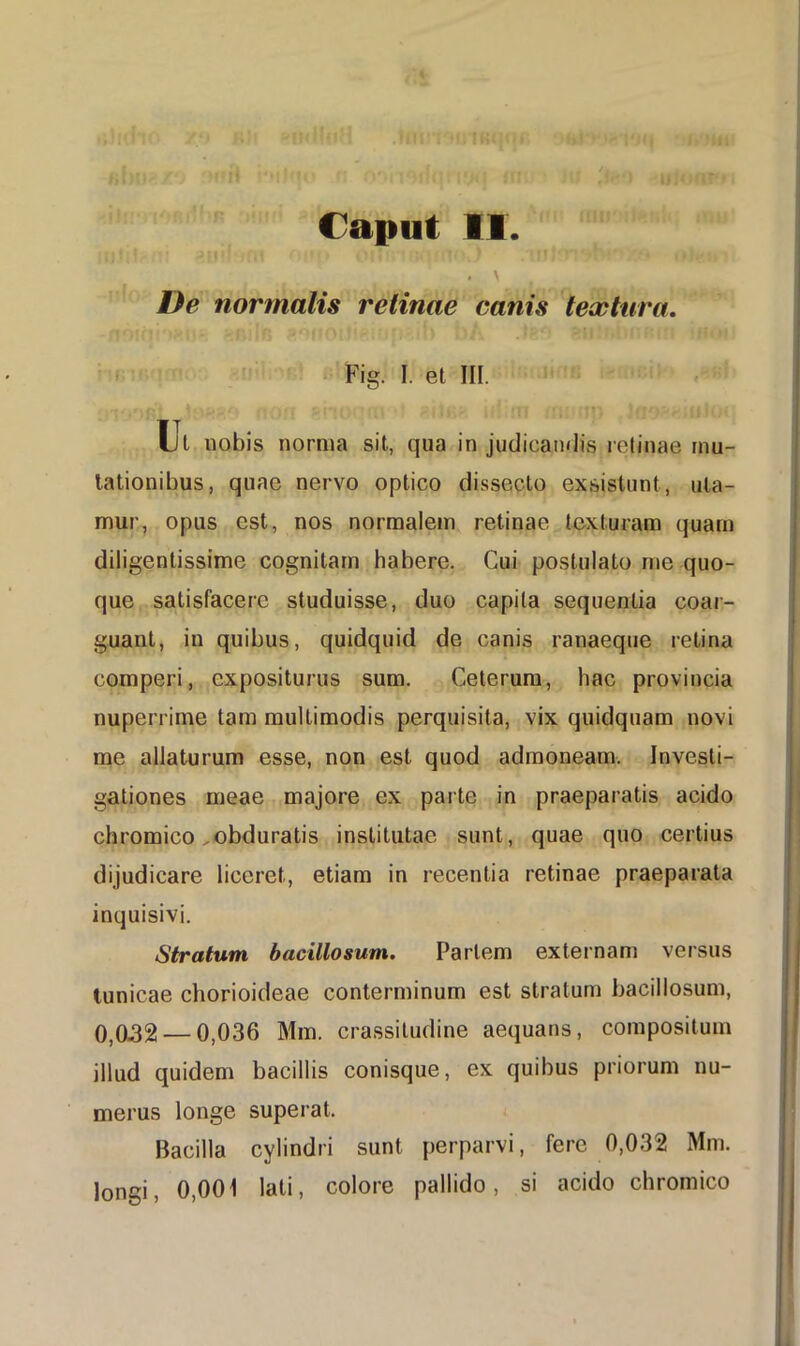 Caput II. . > De normalis retinae canis textura. Fig. I. et III. Ut nobis norma sit, qua in judicandis retinae mu- tationibus, quae nervo optico dissecto exsistunt, uta- mur, opus est, nos normalem retinae texturam quam diligentissime cognitam habere. Cui postulato me quo- que satisfacere studuisse, duo capita sequentia coar- guant, in quibus, quidquid de canis ranaeque retina comperi, expositurus sum. Ceterum, hac provincia nuperrime tam multimodis perquisita, vix quidquam novi me allaturum esse, non est quod admoneam. Investi- gationes meae majore ex parte in praeparatis acido chromico,obduratis institutae sunt, quae quo certius dijudicare liceret, etiam in recentia retinae praeparata inquisivi. Stratum bacillo sum. Pariem externam versus tunicae chorioideae conterminum est stratum bacillosum, 0,0.32 — 0,036 Mm. crassitudine aequans, compositum illud quidem bacillis conisque, ex quibus priorum nu- merus longe superat. Bacilla cylindri sunt perparvi, fere 0,032 Mm. longi, 0,001 lati, colore pallido, si acido chromico