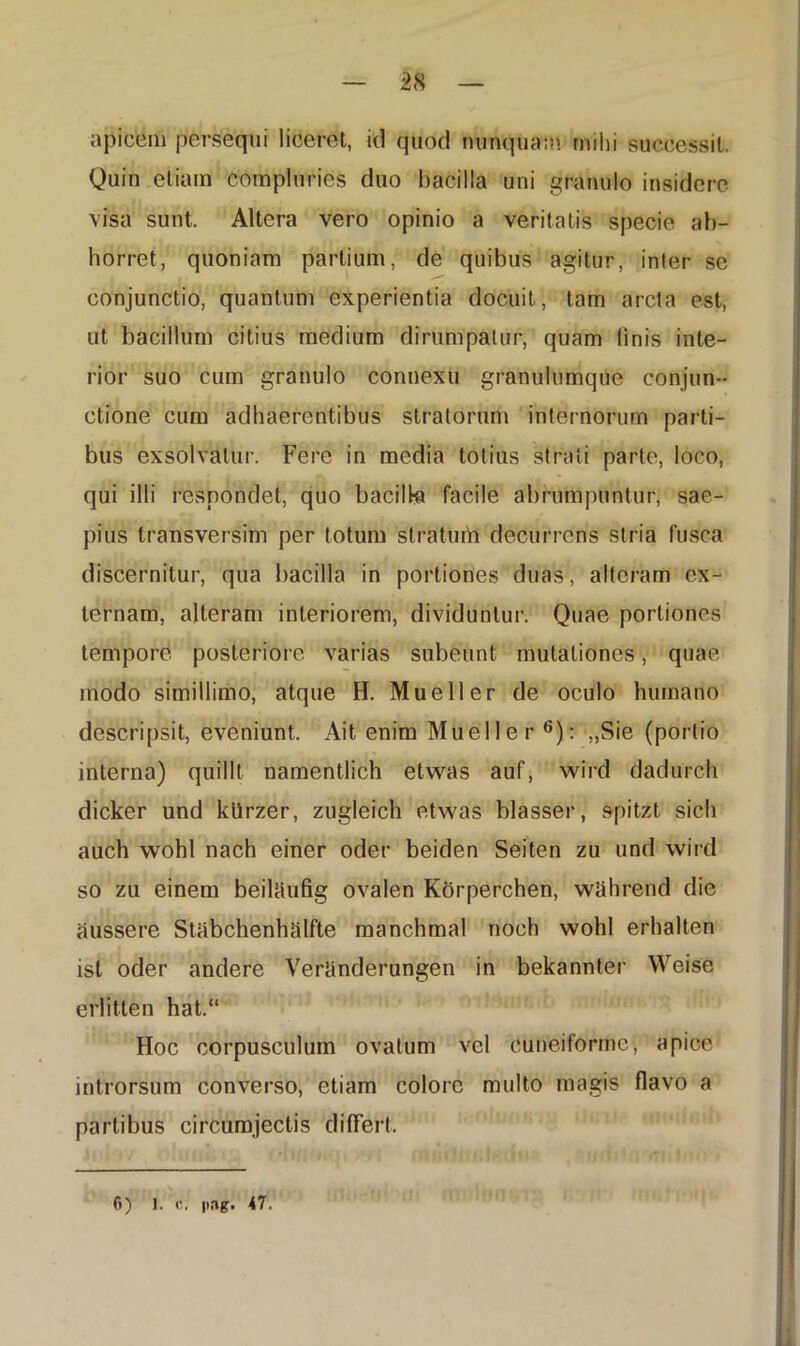 apicem persequi liceret, id quod nunquam milii successit. Quin etiam compluries duo bacilla uni granulo insidere visa sunt. Altera vero opinio a veritatis specie ab- horret, quoniam partium, de quibus agitur, inter se conjunctio, quantum experientia docuit, tam arcta est, ut bacillum citius medium dirumpatur, quam (inis inte- rior suo cum granulo connexu granulumque conjun- ctione cum adhaerentibus stratorum internorum parti- bus exsolvatur. Fere in media totius strati parte, loco, qui illi respondet, quo bacilla facile abrumpuntur, sae- pius transversim per totum stratum decurrens stria fusca discernitur, qua bacilla in portiones duas, alteram ex- ternam, alteram interiorem, dividuntur. Quae portiones tempore posteriore varias subeunt mutationes, quae modo simillimo, atque H. Mu e 11 er de oculo humano descripsit, eveniunt. Ait enim Mueller 6): „Sie (portio interna) quillt namentlich etwas auf, wird dadurch dicker und kiirzer, zugleich etwas blasser, spitzt sicli auch wohl nach einer oder beiden Seiten zu und wird so zu einem beiUiufig ovalen Korperchen, wahrend die aussere Stabchenhalfte manchmal noch wohl erhalten ist oder andere Veranderungen in bekannter Weise erlitten hat.“ Hoc corpusculum ovatum vel cuneiforme, apice introrsum converso, etiam colore multo magis flavo a partibus circumjectis differt. 6) 1. c. pagi 47.