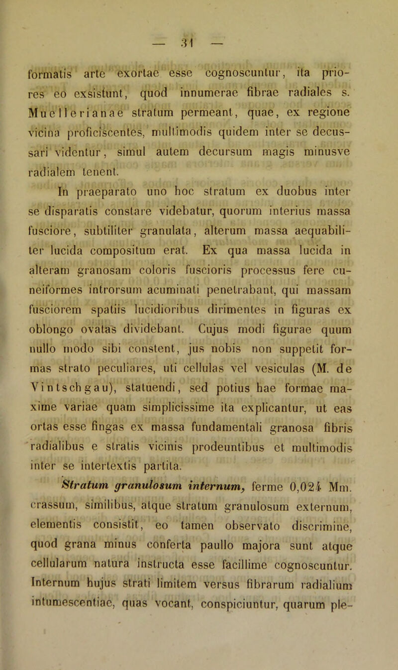 formatis arte exortae esse cognoscuntur, ita prio- res eo exsistunt, quod innumerae fibrae radiales s. Muellerianae stratum permeant, quae, ex regione vicina proficiscentes, multimodis quidem inter se decus- sari videntur, simul autem decursum magis minusve radialem tenent. In praeparato uno hoc stratum ex duobus inter se disparatis constare videbatur, quorum interius massa fusciore, subtiliter granulata, alterum massa aequabili- ter lucida compositum erat. Ex qua massa lucida in alteram granosam coloris fuscioris processus fere cu- neiformes introrsum acuminati penetrabant, qui massam fusciorem spatiis lucidioribus dirimentes in figuras ex oblongo ovatas dividebant. Cujus modi figurae quum nullo modo sibi constent, jus nobis non suppetit for- mas strato peculiares, uti cellulas vel vesiculas (M. de Yintschgau), statuendi, sed potius hae formae ma- xime variae quam simplicissime ita explicantur, ut eas ortas esse fingas ex massa fundamentali granosa fibris radialibus e stratis vicinis prodeuntibus et multimodis inter se intertextis partita. Stratum granulosum internum, ferme 0,024 Mm. crassum, similibus, atque stratum granulosum externum, elementis consistit, eo tamen observato discrimine, quod grana minus conferta paullo majora sunt atque cellularum natura instructa esse facillime cognoscuntur. Internum hujus strati limitem versus fibrarum radialium intumescendae, quas vocant, conspiciuntur, quarum ple-