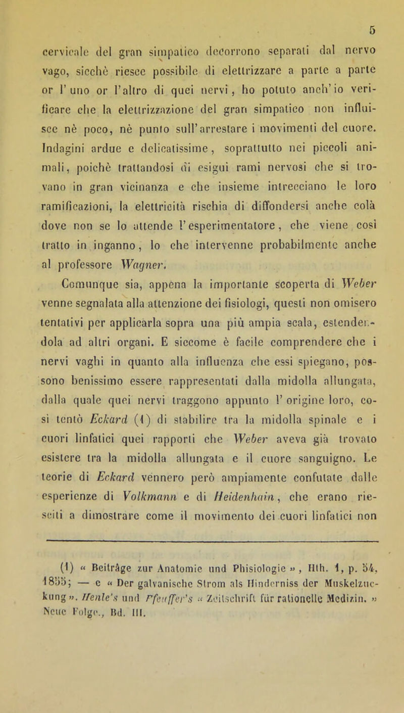 cervicale del gran siinpalico decorrono separali dal nervo vago, sicché riesce possibile di elettrizzare a parte a parte or l’uno or l’allro di quei nervi, ho potuto anch’io veri- ficare che la eletlrizzazionc del gran simpatico non inflni- sce nè poco, nè punto sull’arrestare i movimenti del cuore. Indagini ardue e delicatissime, soprattutto nei piccoli ani- mali, poiché trattandosi di esigui rami nervosi che si tro- vano in gran vicinanza e che insieme intrecciano le loro ramificazioni, la elettricità rischia di diffondersi anche colà dove non se lo attende l’esperimentatore, che viene cosi tratto in inganno, lo che intervenne probabilmente anche al professore Wagner. Comunque sia, appéna la importante scoperta di Weber venne segnalata alla attenzione dei fisiologi, questi non omisero tentativi per applicarla sopra una più ampia scala, estenden- dola ad altri organi. E siccome è facile comprendere che i nervi vaghi in quanto alla influenza che essi spiegano, pos- sono benissimo essere rappresentali dalla midolla allungata, dalla quale quei nervi traggono appunto 1’ origine loro, co- si tentò Eckard (f) di stabilire tra la midolla spinale e i cuori linfatici quei rapporti che Weber aveva già trovalo esistere tra la midolla allungata e il cuore sanguigno. Le teorie di Eckard vennero però ampiamente confutate dalle esperienze di Volkmann e di Heklenliain, che erano rie- sciti a dimostrare come il ntovimenlo dei cuori linfatici non (1) « Beitràge zur Anatomie mici Pliisiologie « , Illh. 1, p. 54, 1855; — e « Der galvanisclic Slrom als Flinderniss dcr IMiiskelzuc- kung». ifenlc’s and rfeiiff'cr’s •< Zoilsclirifl fiir ralionclle Medizin. «