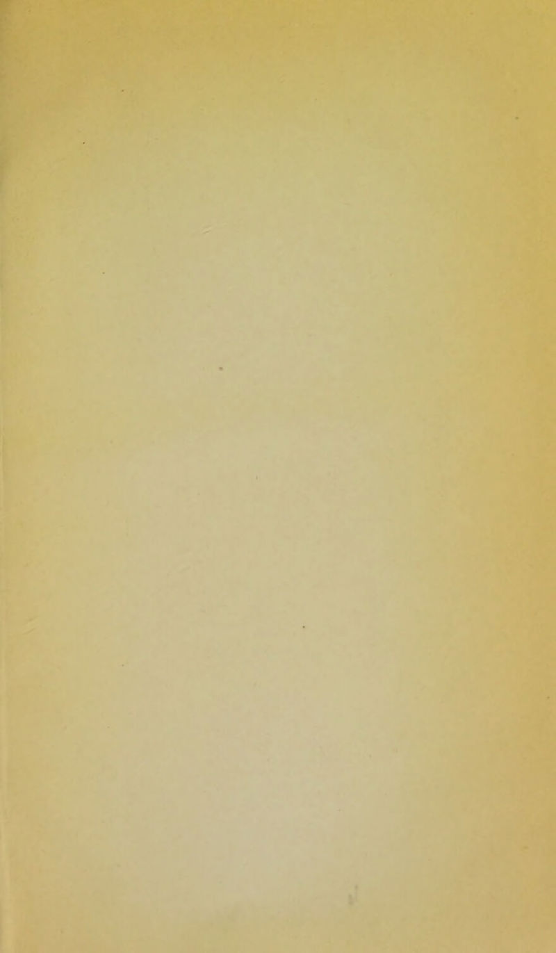 • i V ‘ ^-V ^ ^ . V > I